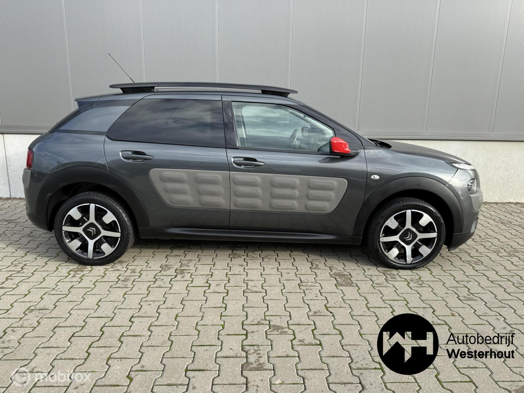 Foto van Citroen C4 Cactus