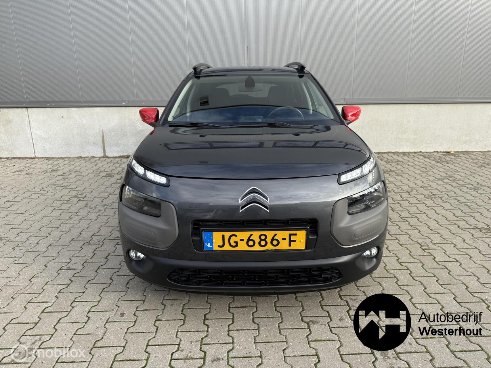 Foto van Citroen C4 Cactus
