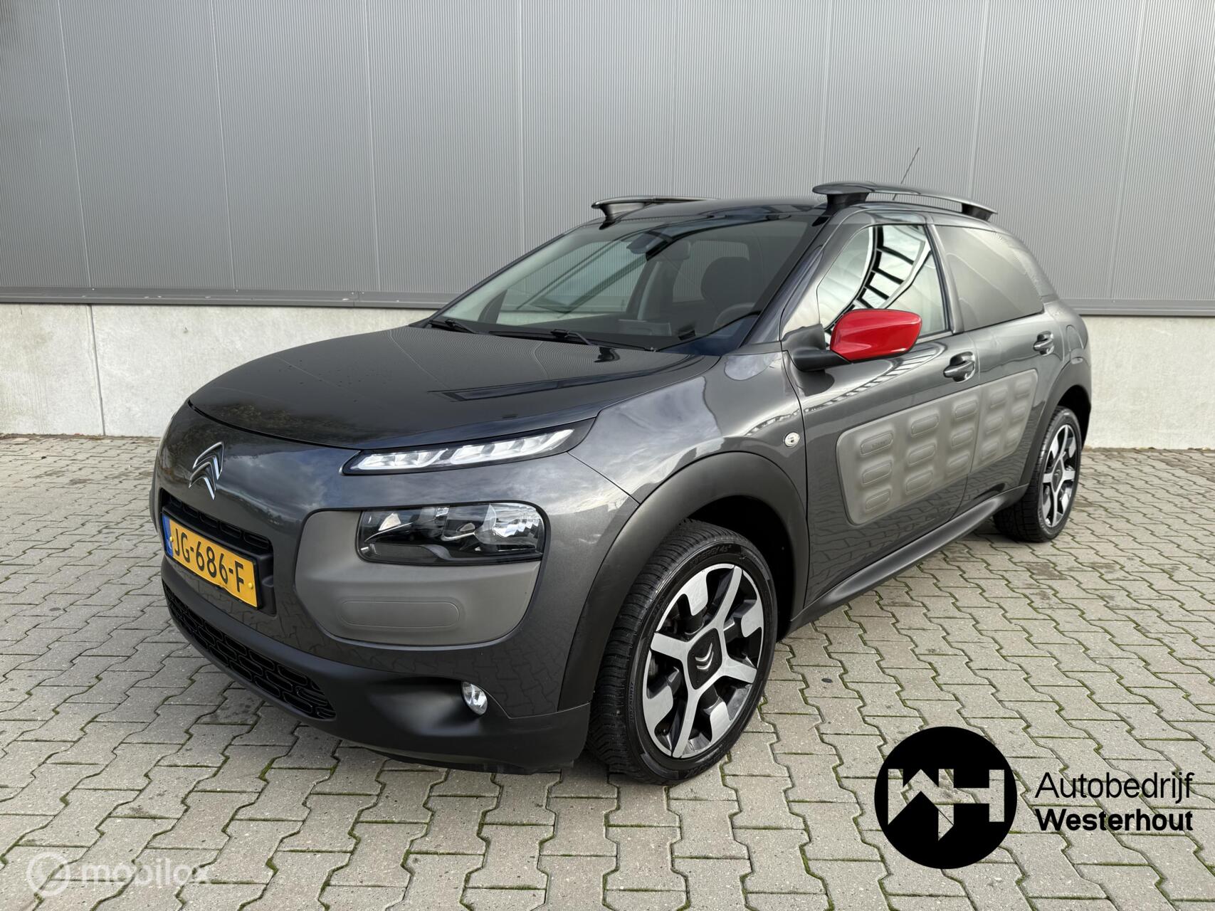 Foto van Citroen C4 Cactus
