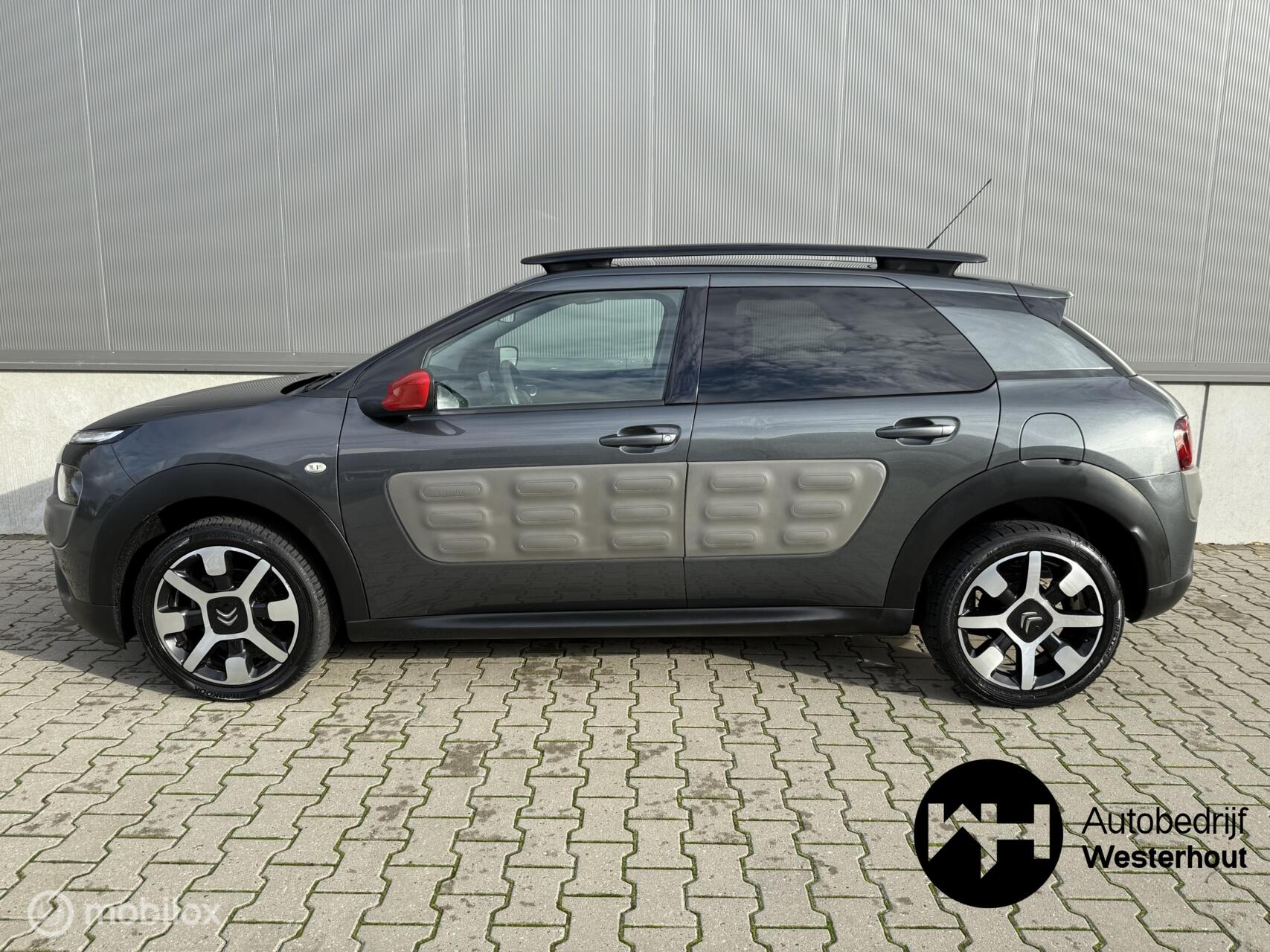 Foto van Citroen C4 Cactus