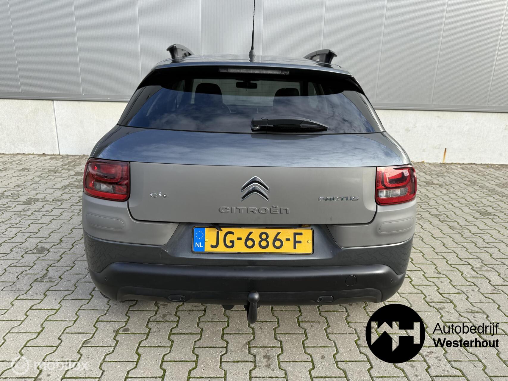 Foto van Citroen C4 Cactus