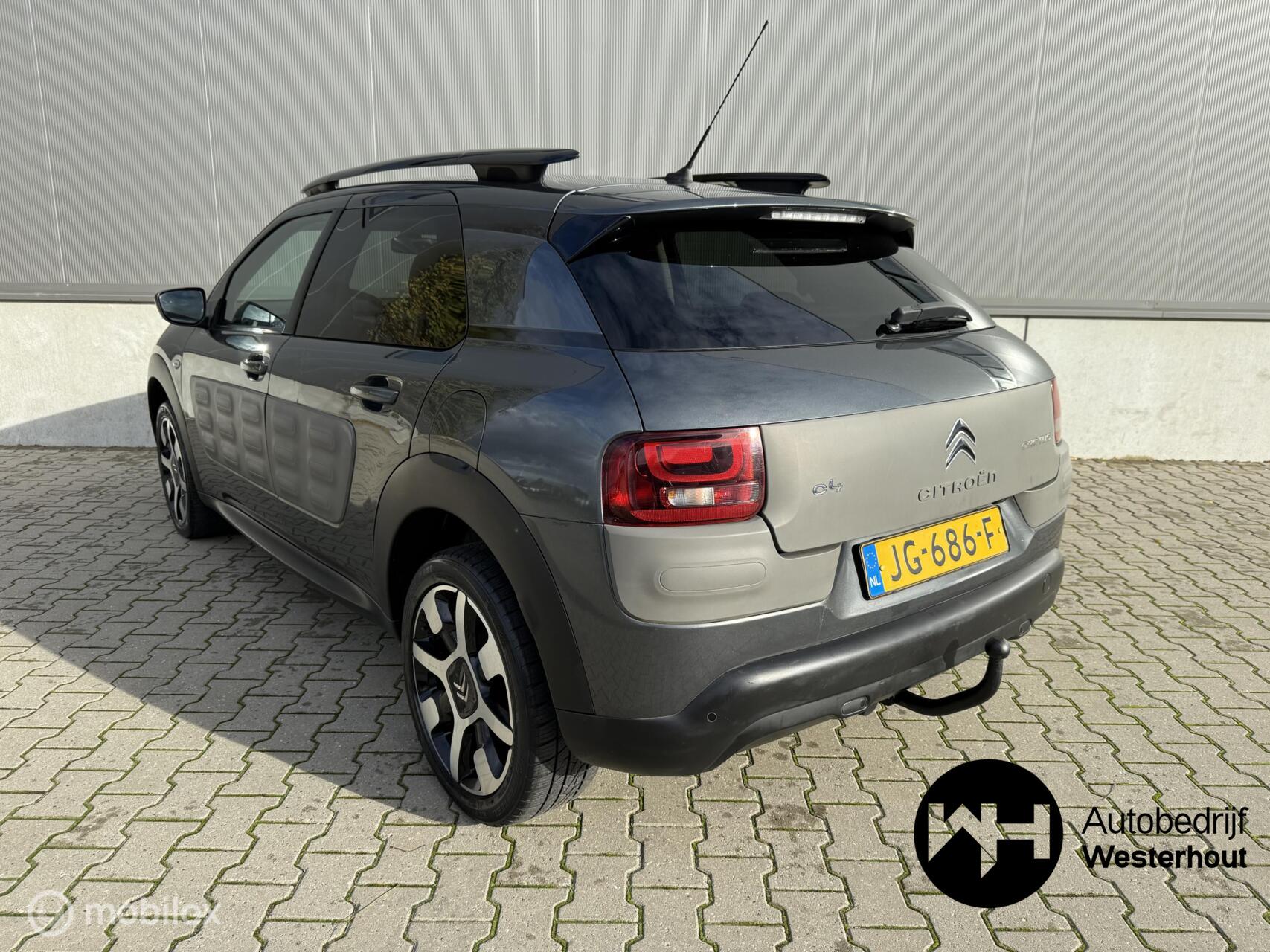 Foto van Citroen C4 Cactus