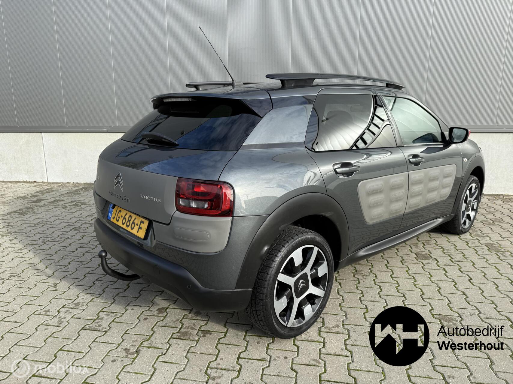 Foto van Citroen C4 Cactus