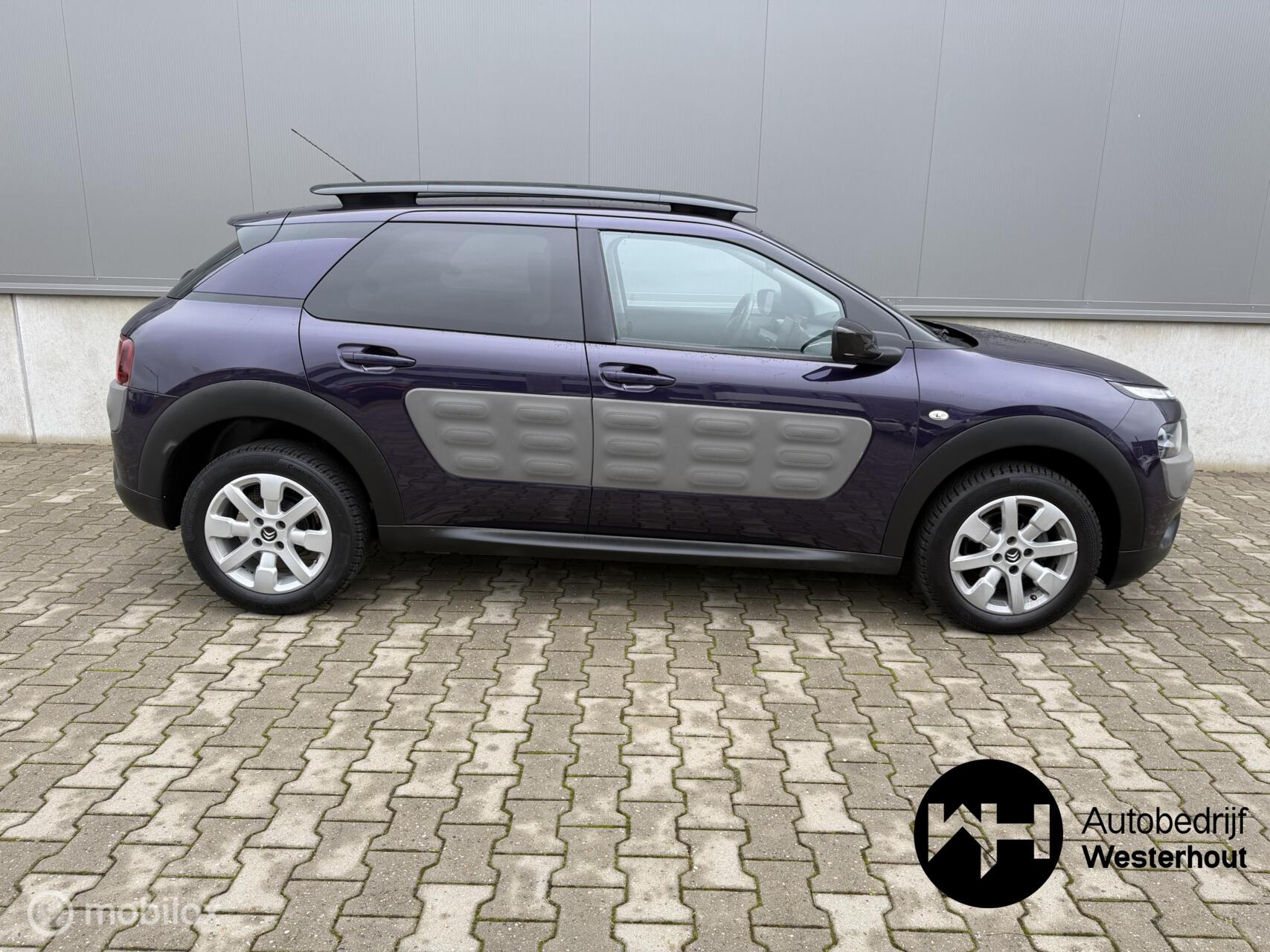 Foto van Citroen C4 Cactus