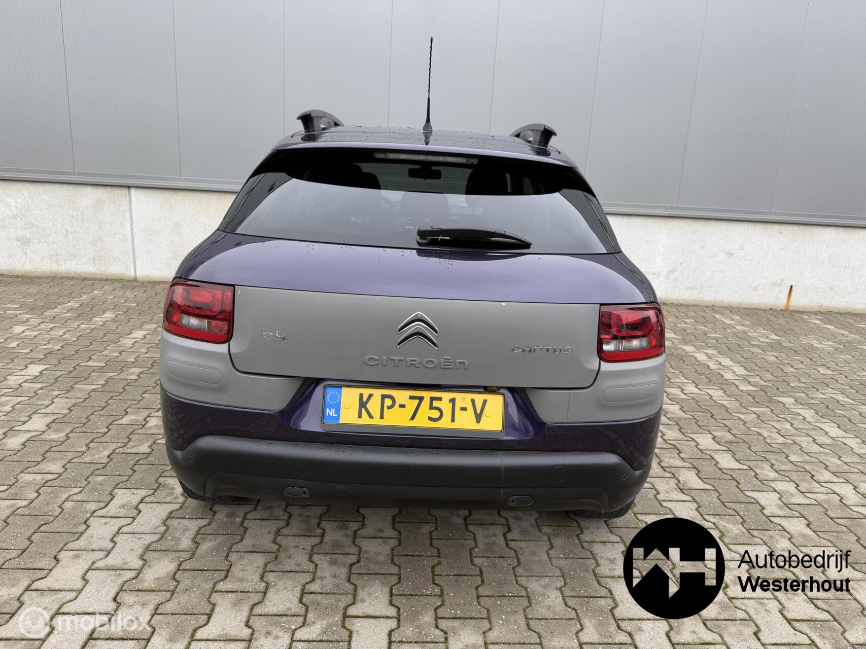Foto van Citroen C4 Cactus