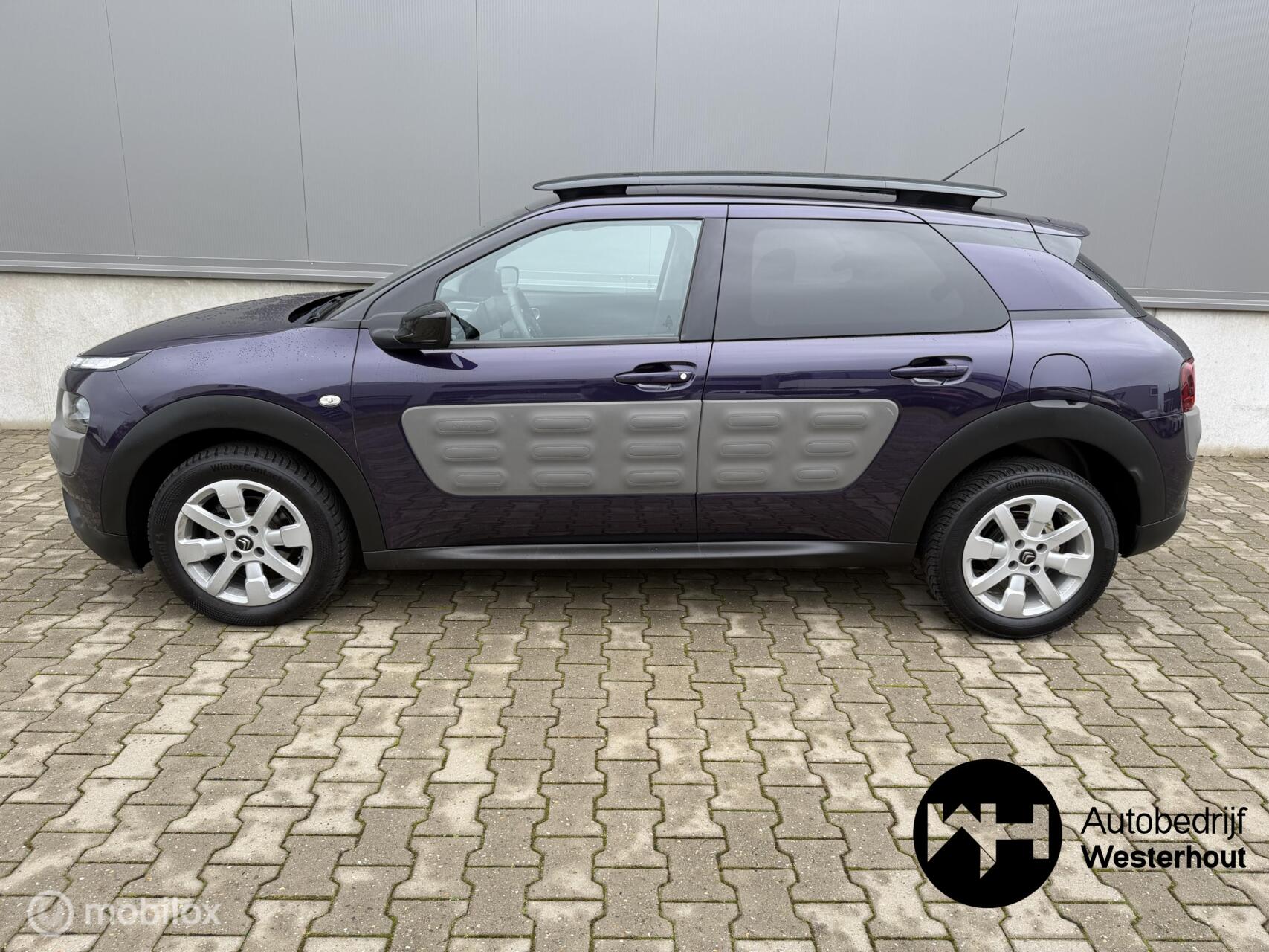 Foto van Citroen C4 Cactus