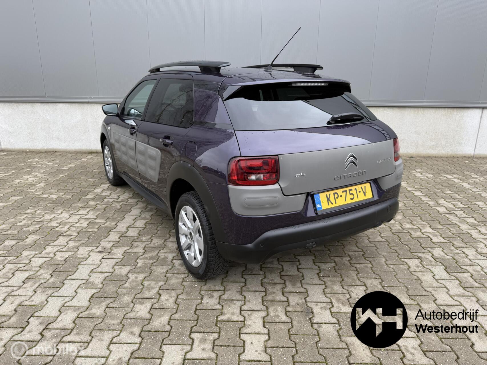 Foto van Citroen C4 Cactus