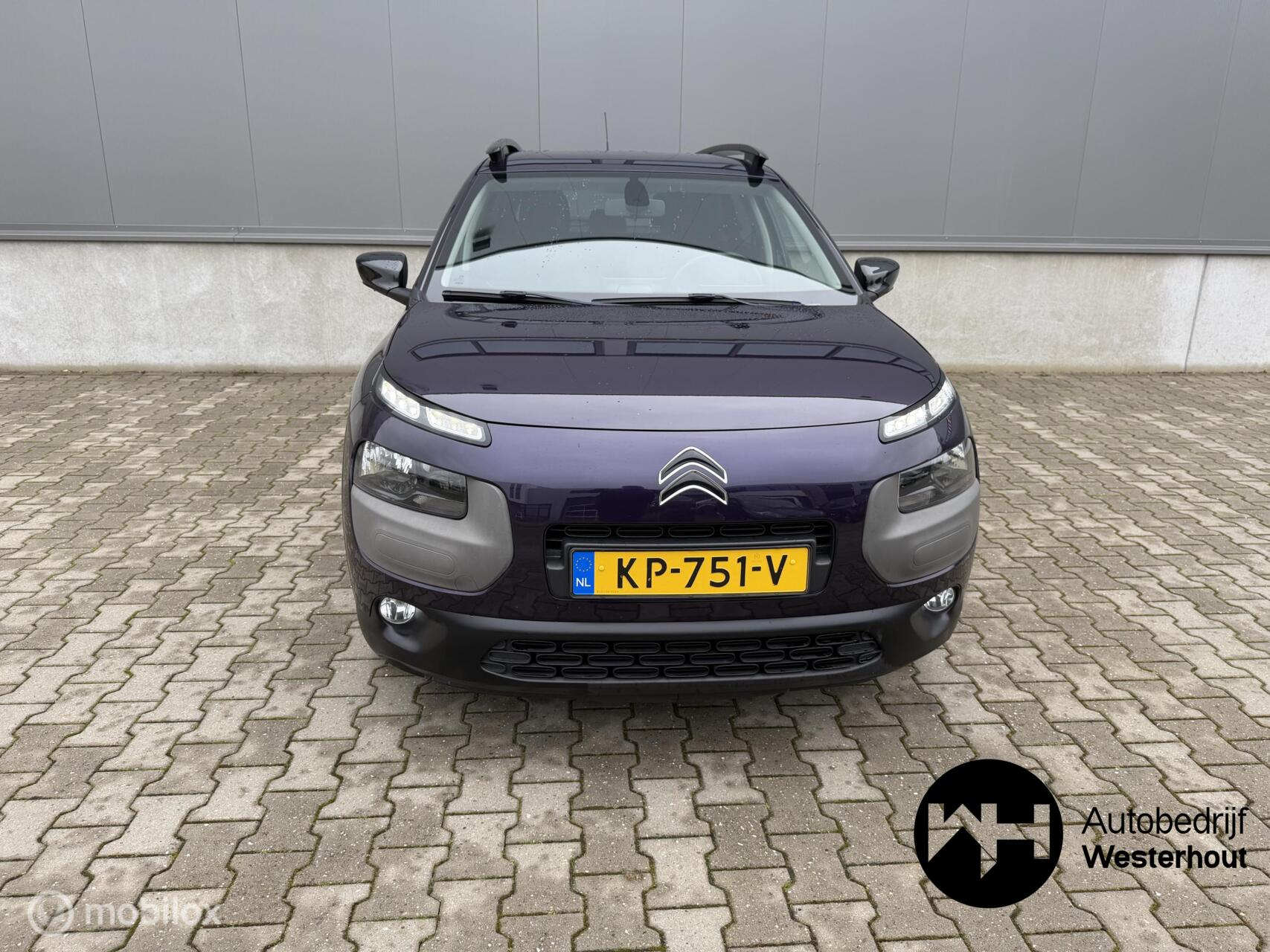 Foto van Citroen C4 Cactus