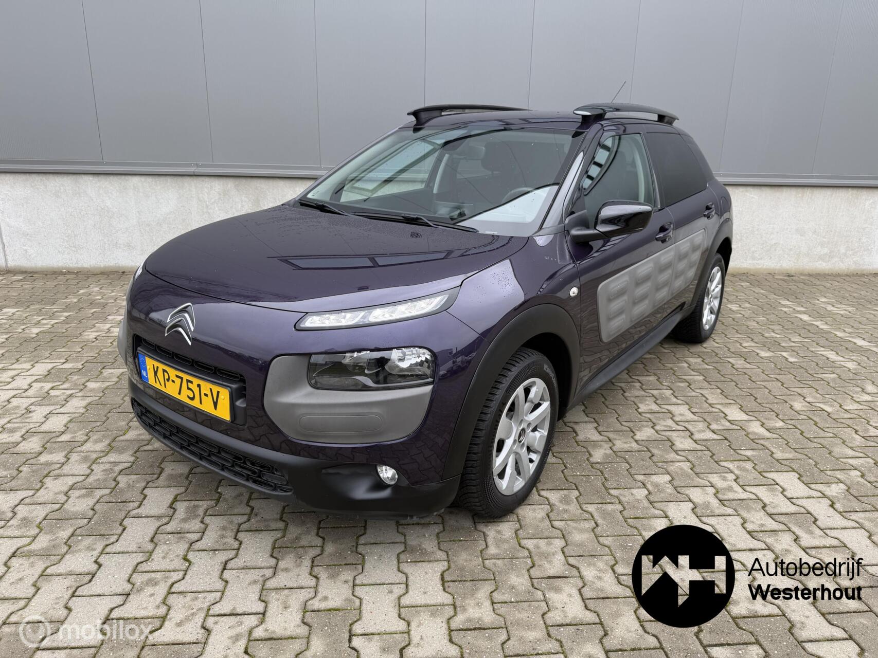 Foto van Citroen C4 Cactus