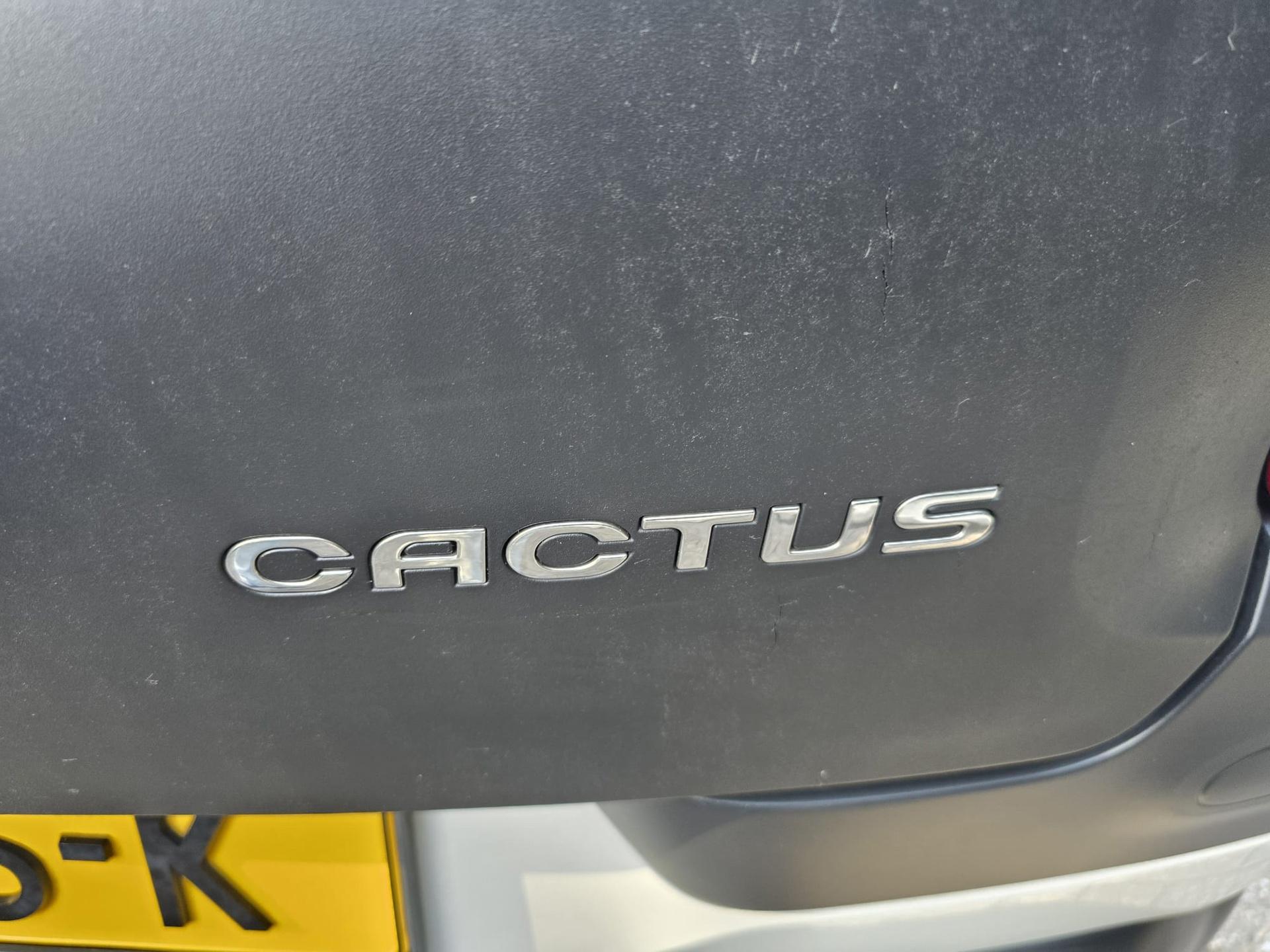 Foto van Citroen C4 Cactus