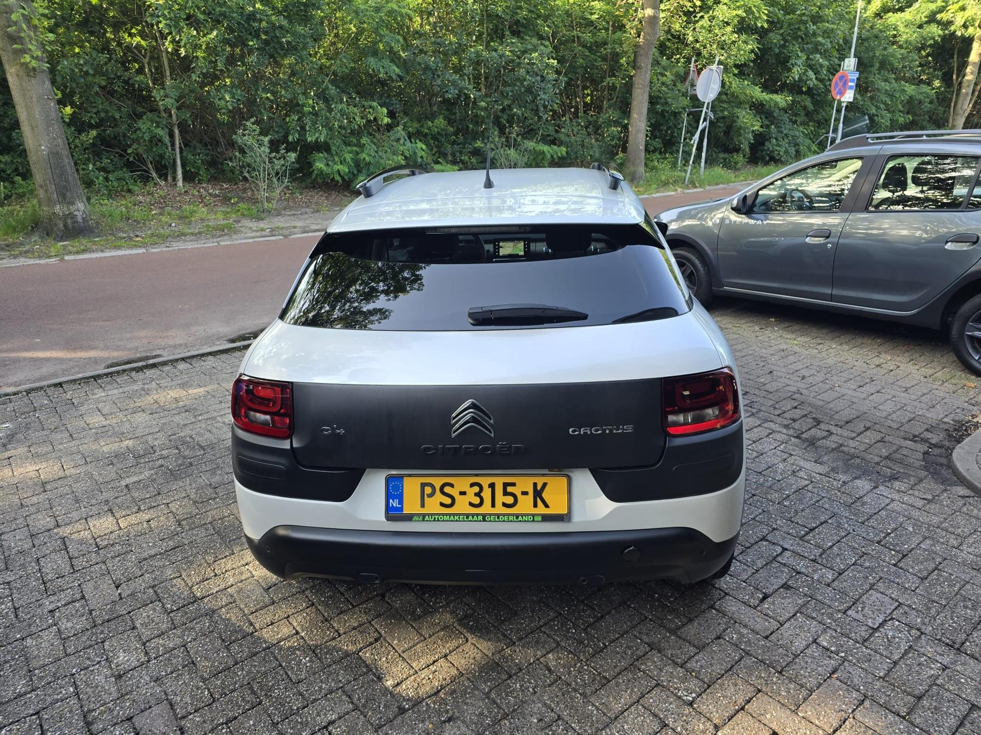 Foto van Citroen C4 Cactus