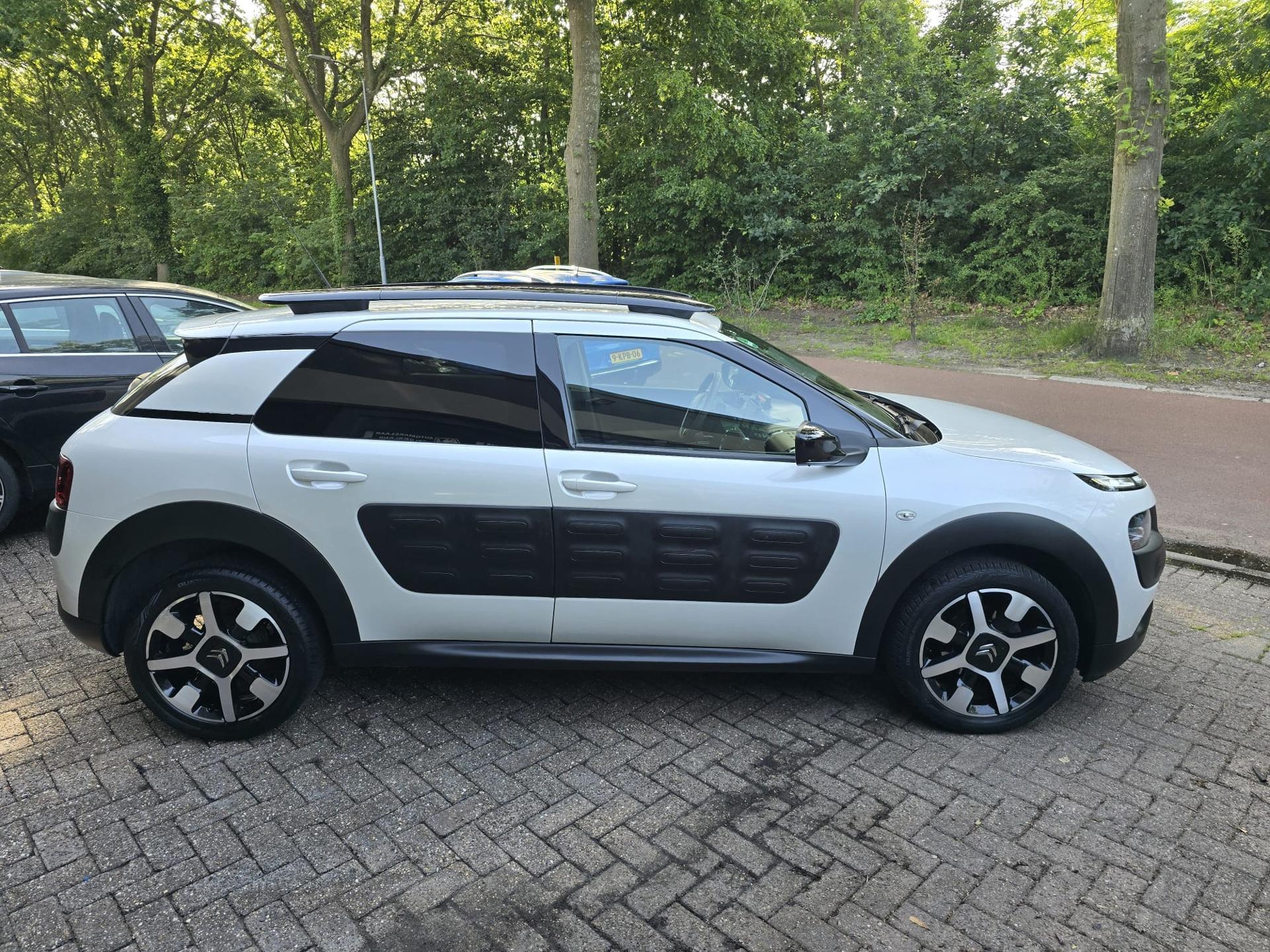 Foto van Citroen C4 Cactus