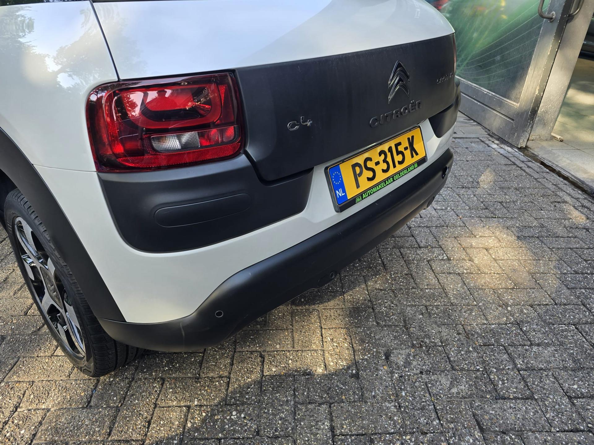 Foto van Citroen C4 Cactus