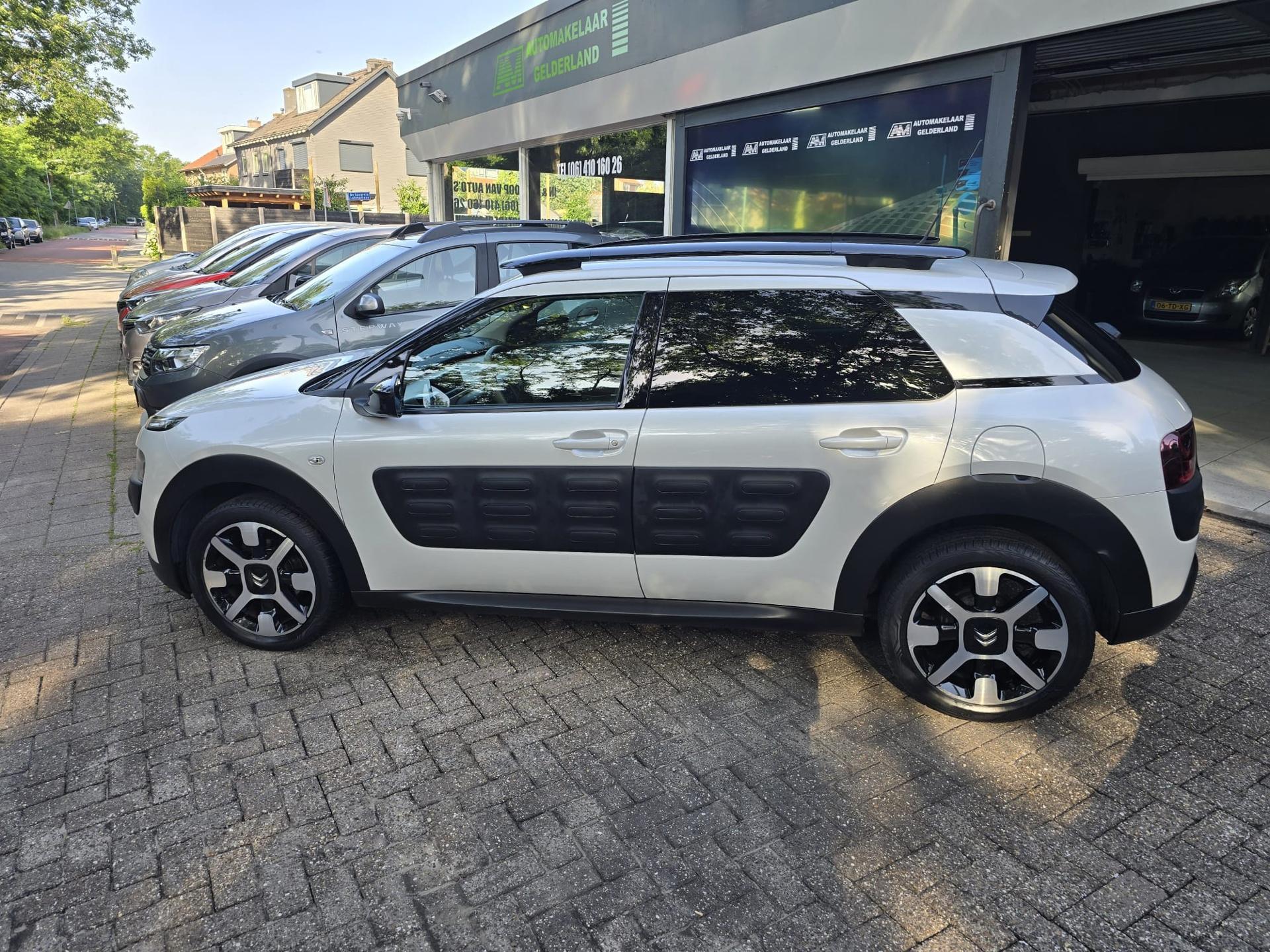 Foto van Citroen C4 Cactus