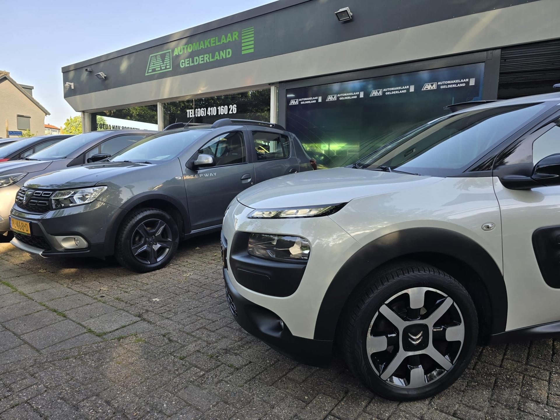 Foto van Citroen C4 Cactus