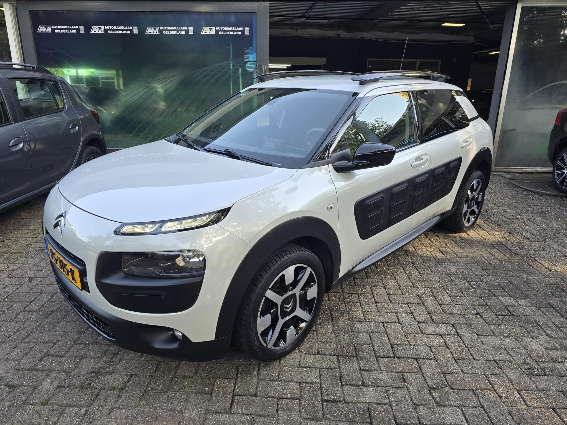 Foto van Citroen C4 Cactus