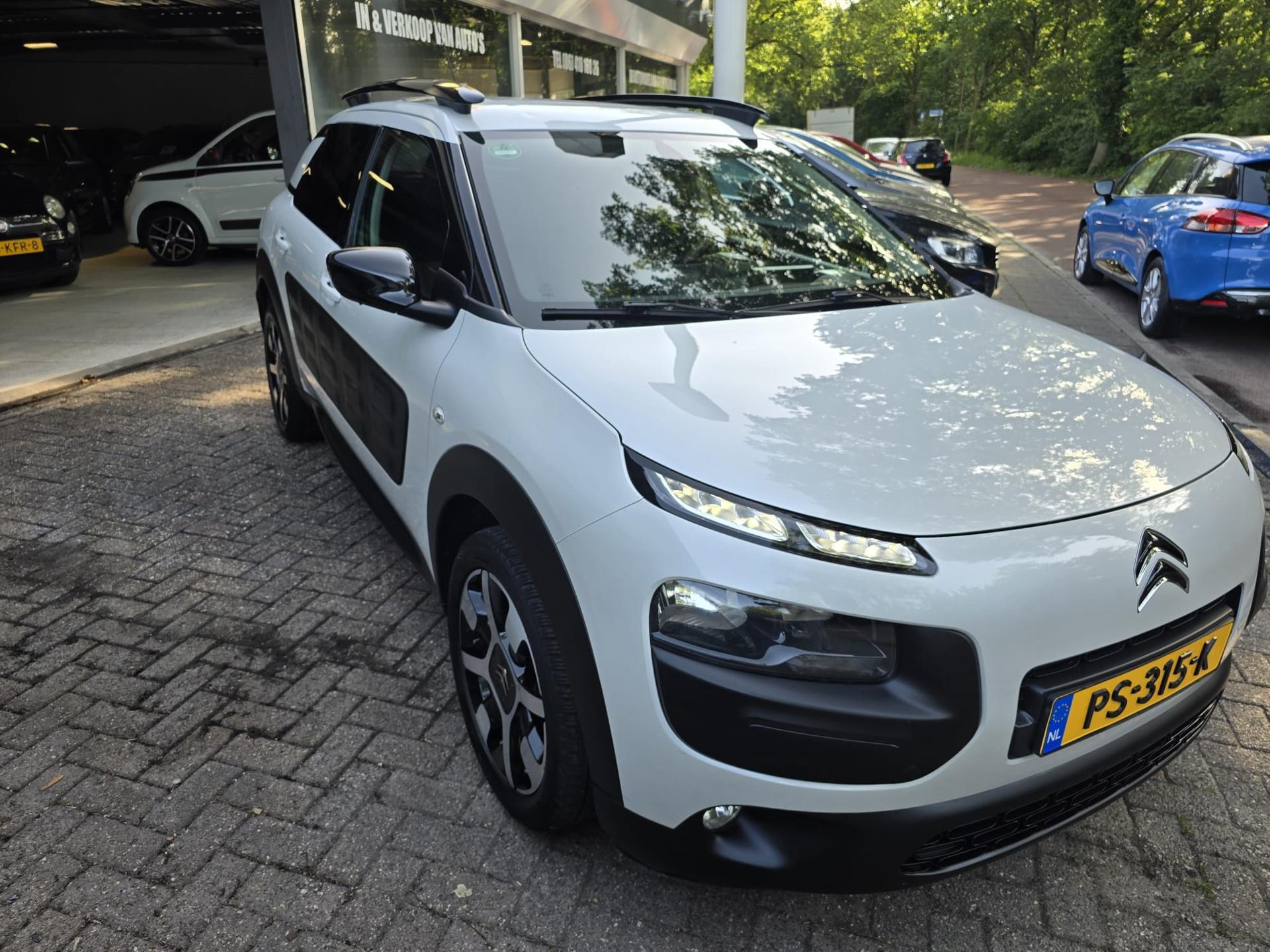 Foto van Citroen C4 Cactus