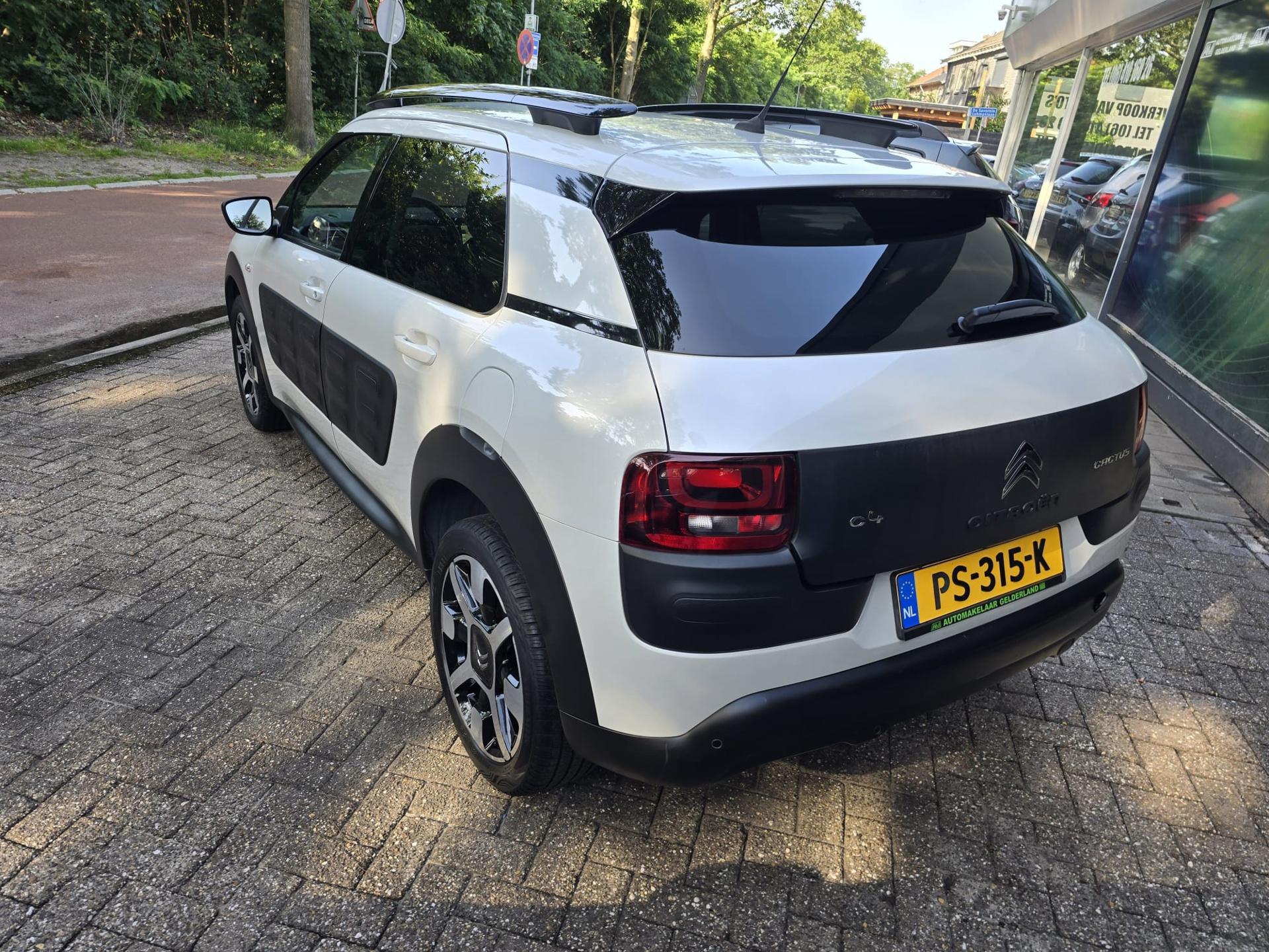 Foto van Citroen C4 Cactus