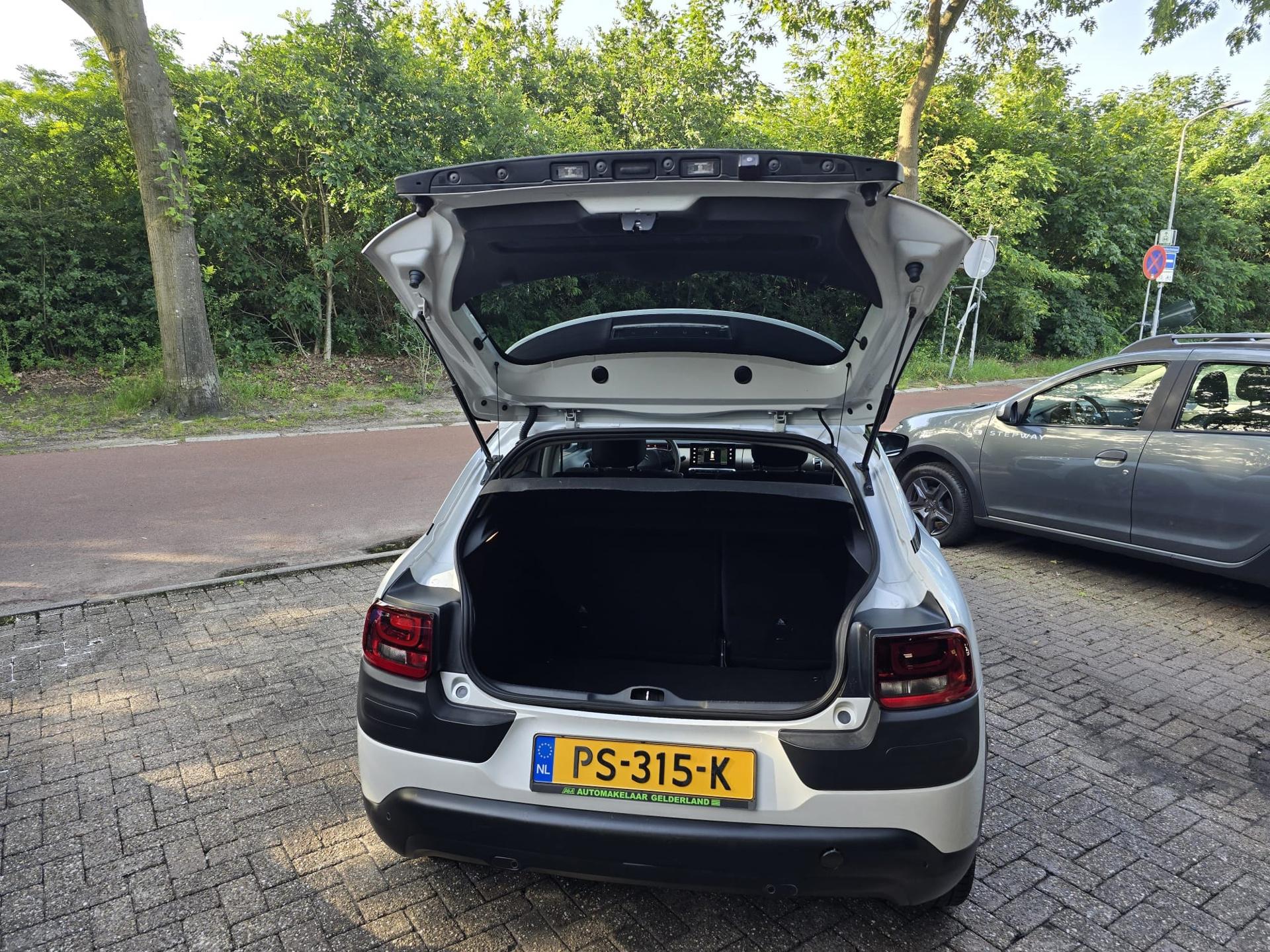 Foto van Citroen C4 Cactus