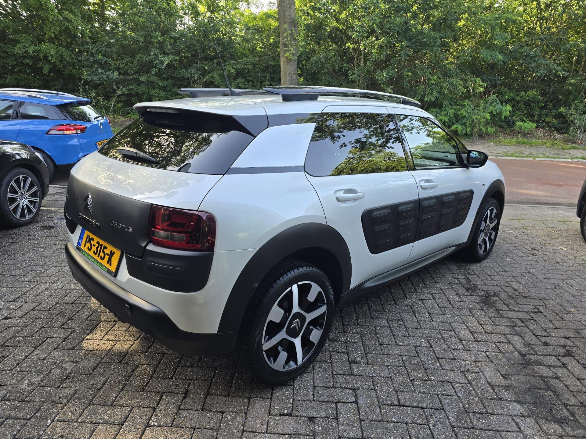Foto van Citroen C4 Cactus