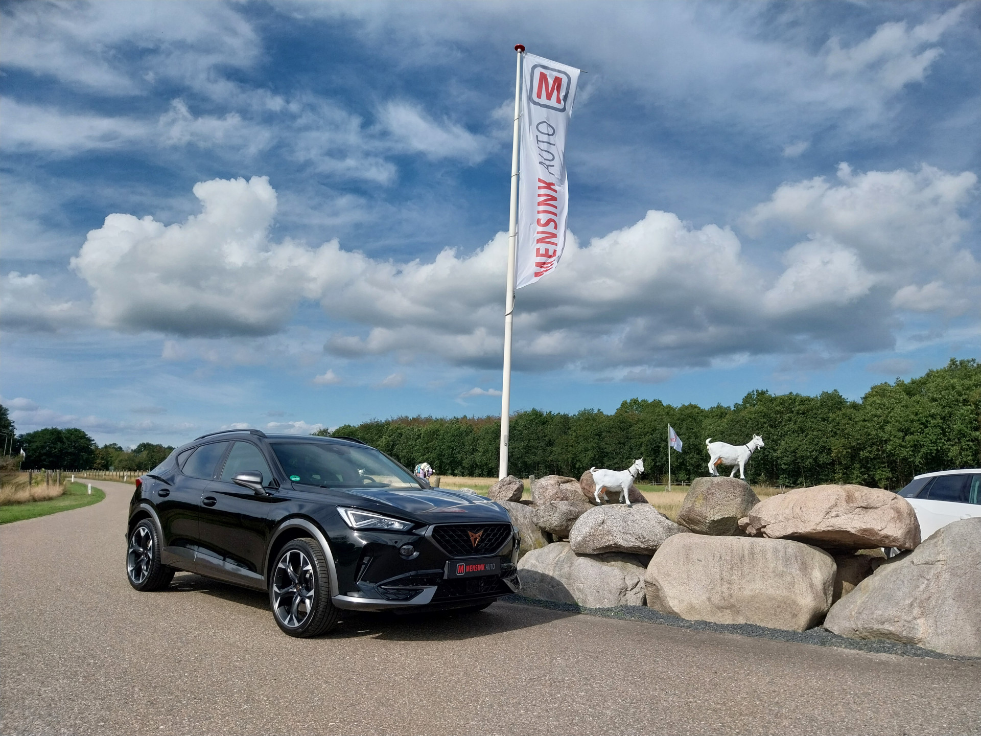 Foto van Cupra Formentor