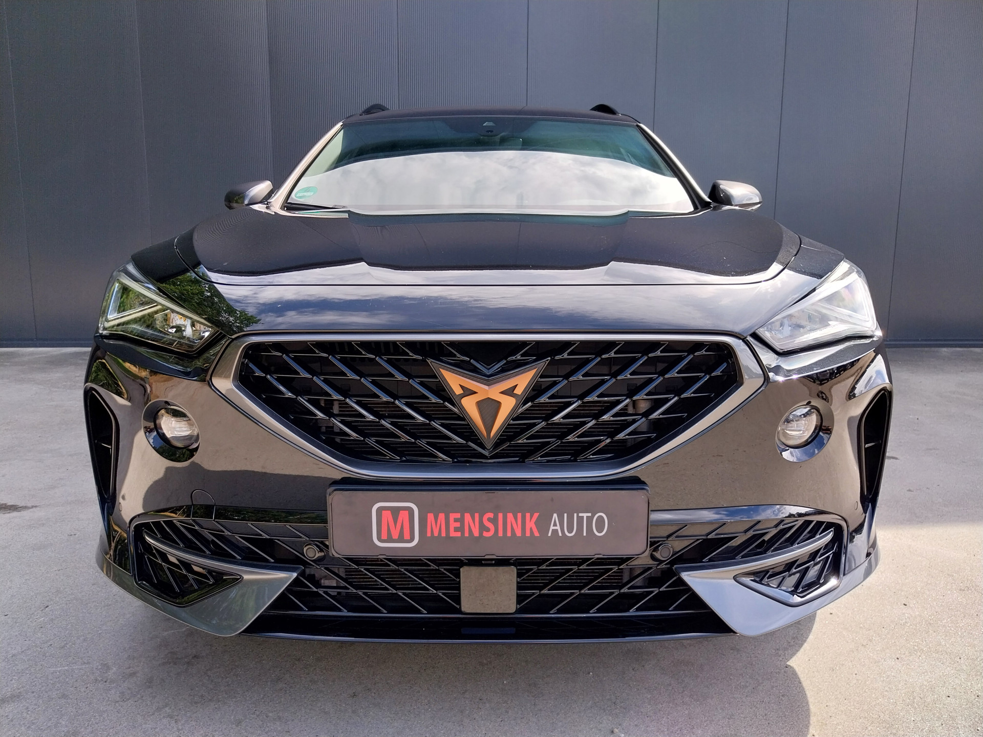 Foto van Cupra Formentor