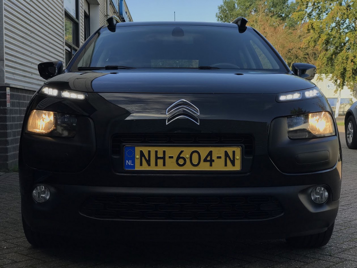 Foto van Citroen C4 Cactus