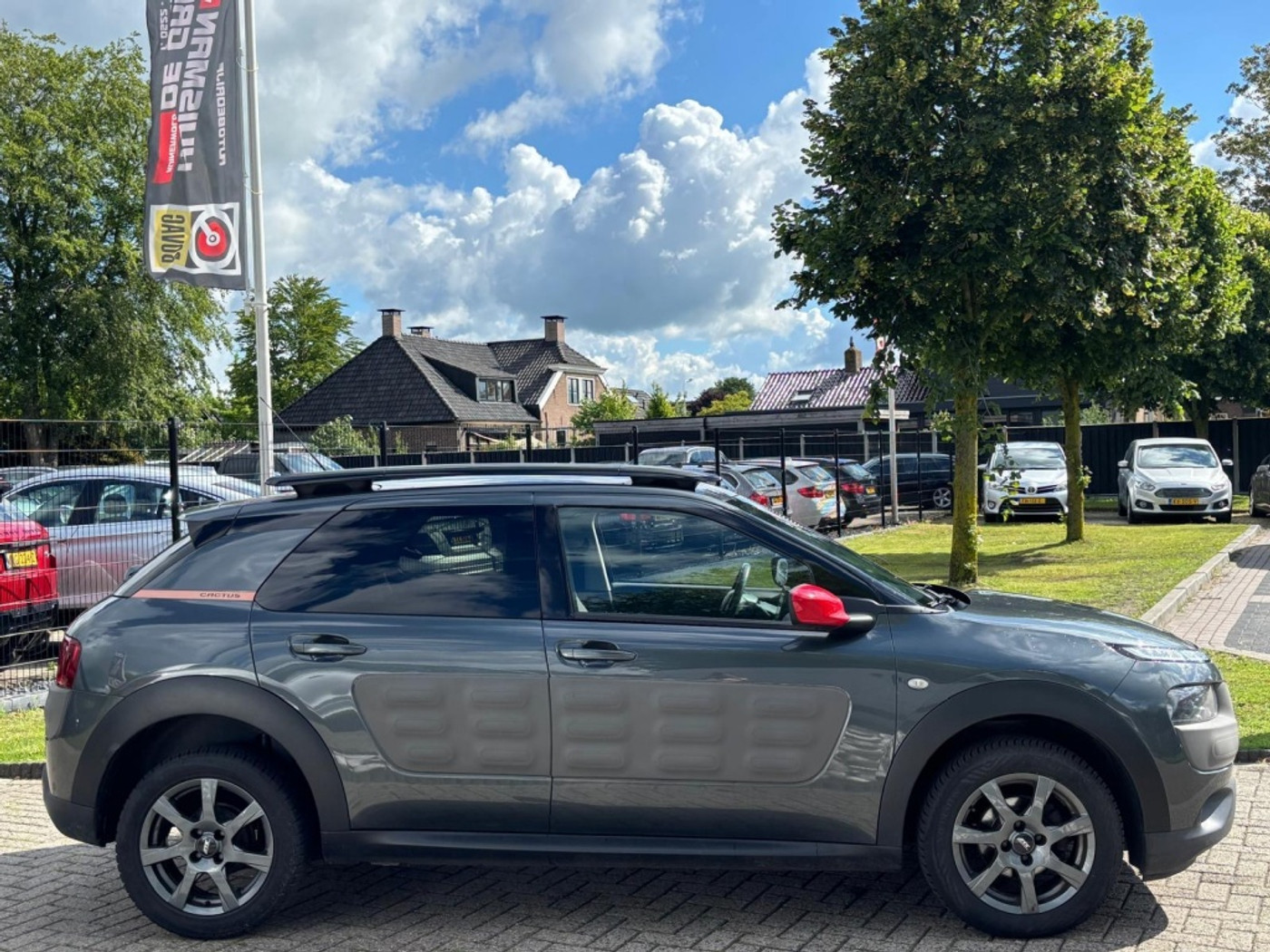 Foto van Citroen C4 Cactus