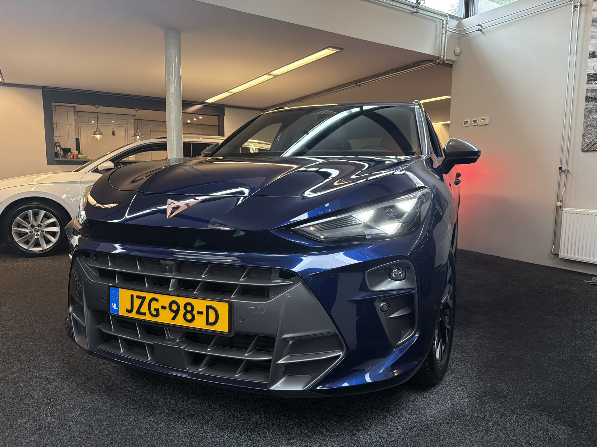 Foto van Cupra Terramar