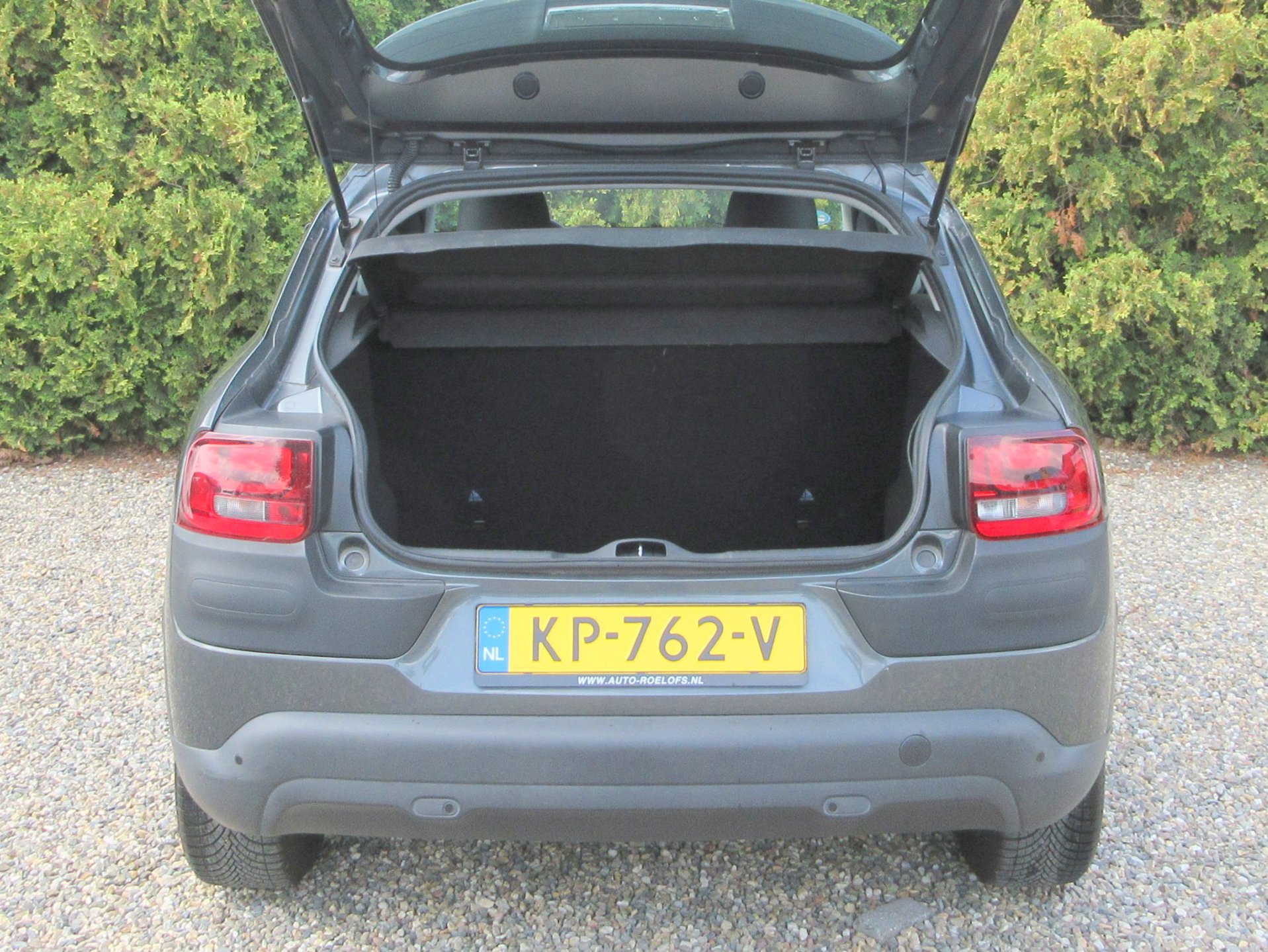 Foto van Citroen C4 Cactus