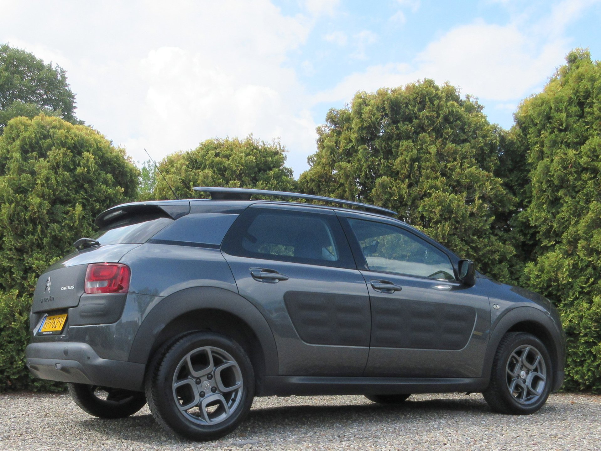 Foto van Citroen C4 Cactus