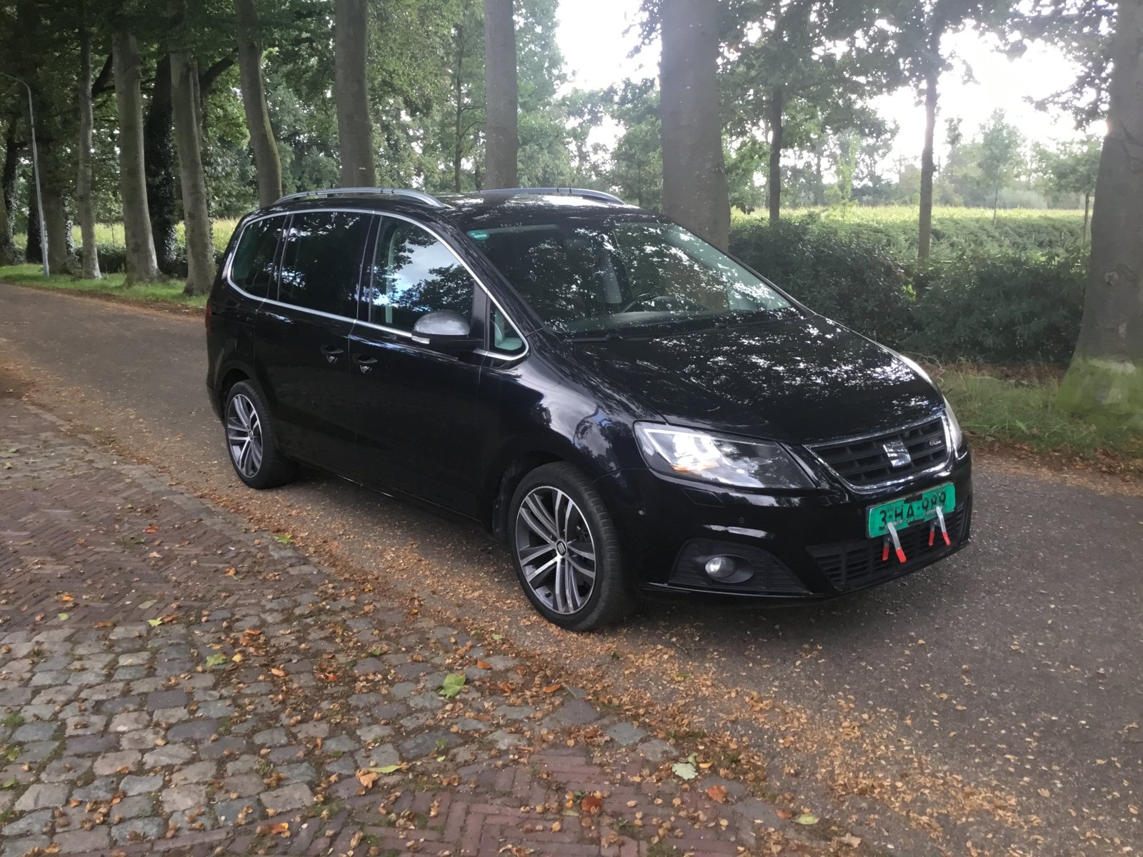 Inspectiefoto van Seat Alhambra