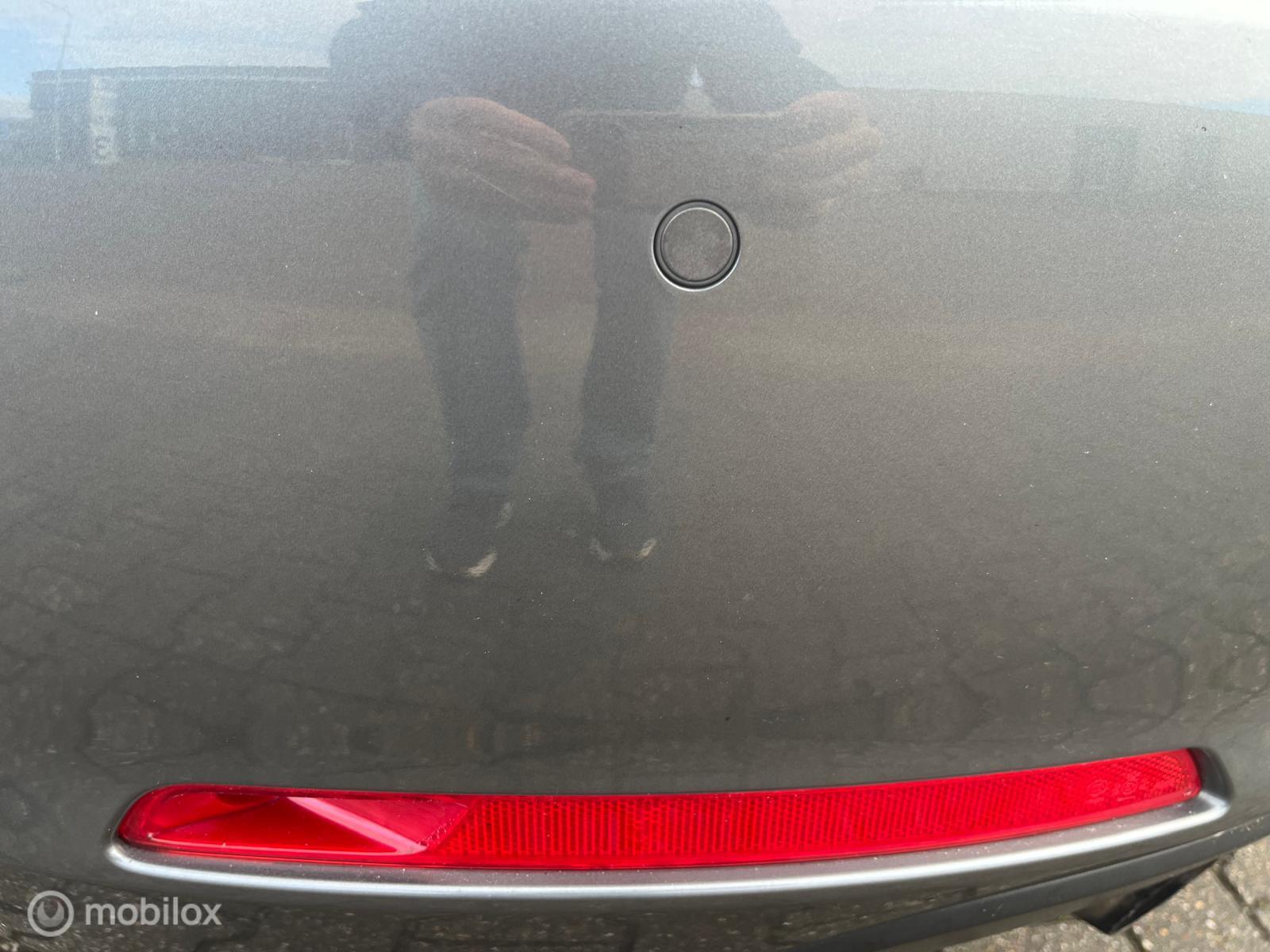 Foto van Volkswagen Beetle