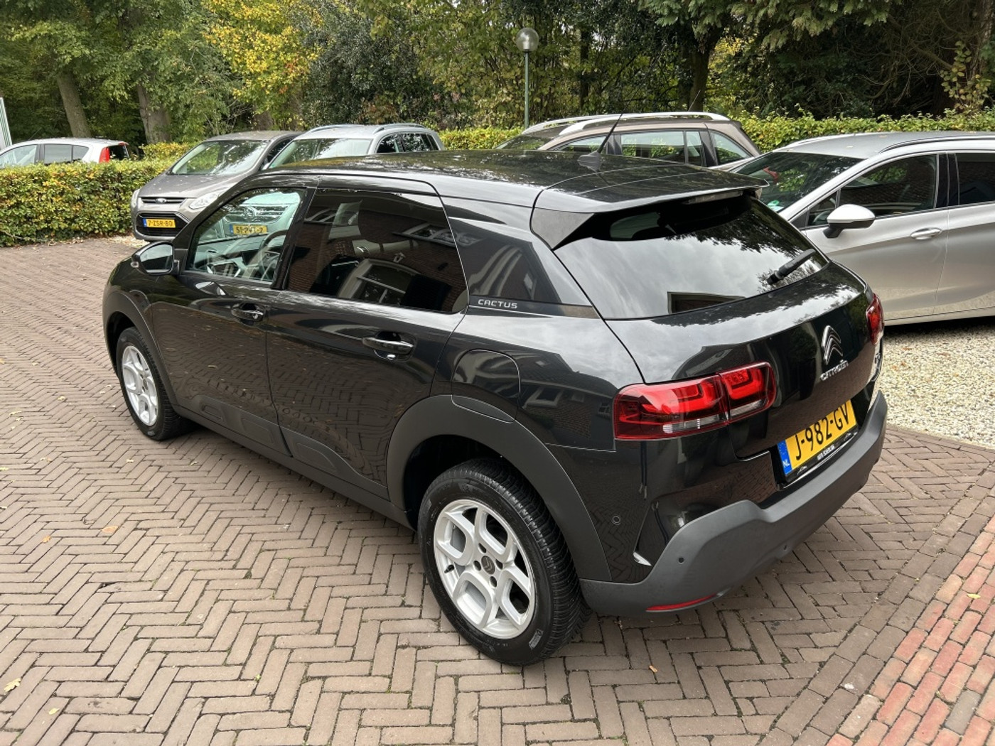 Foto van Citroen C4 Cactus