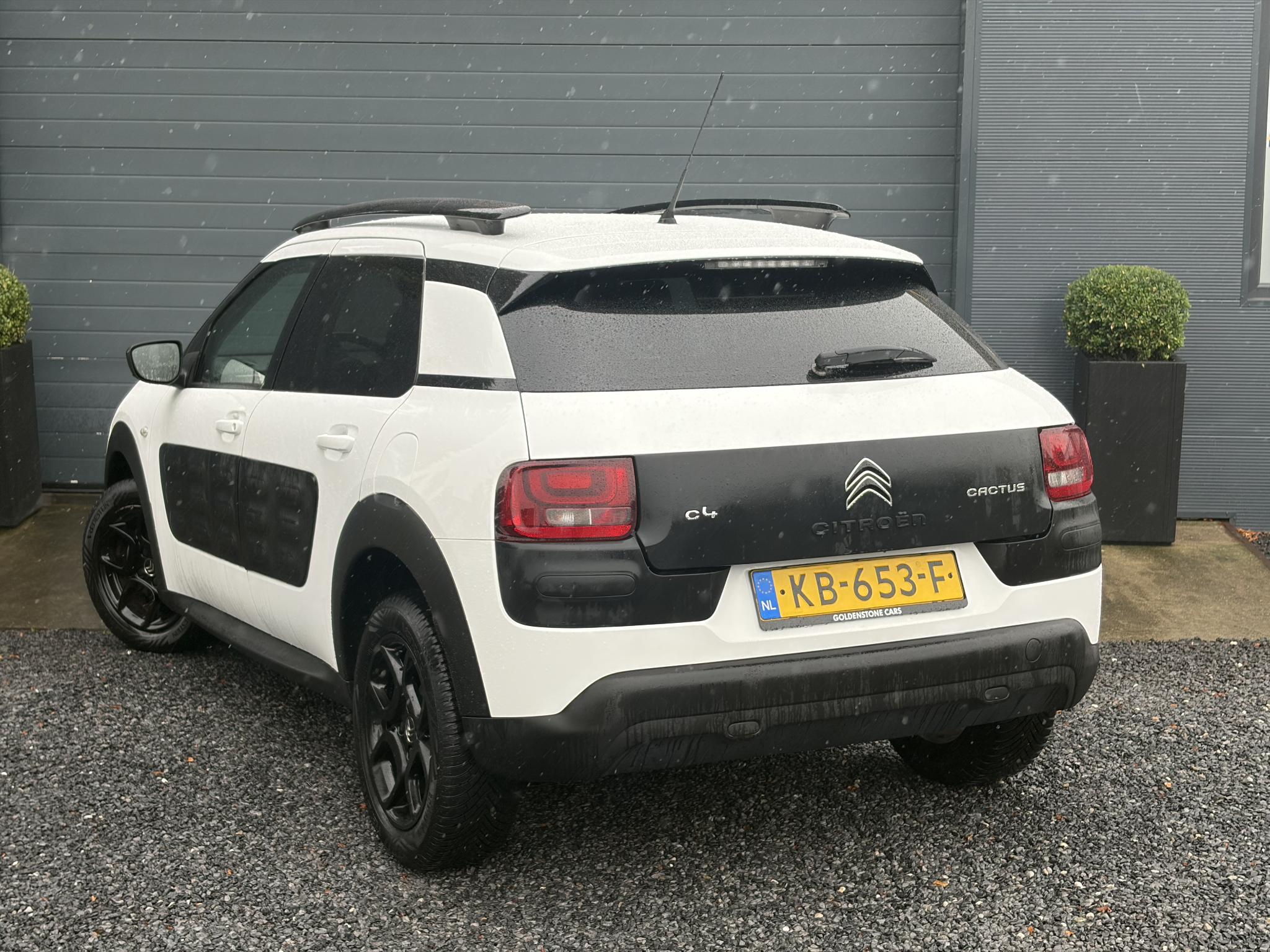 Foto van Citroen C4 Cactus