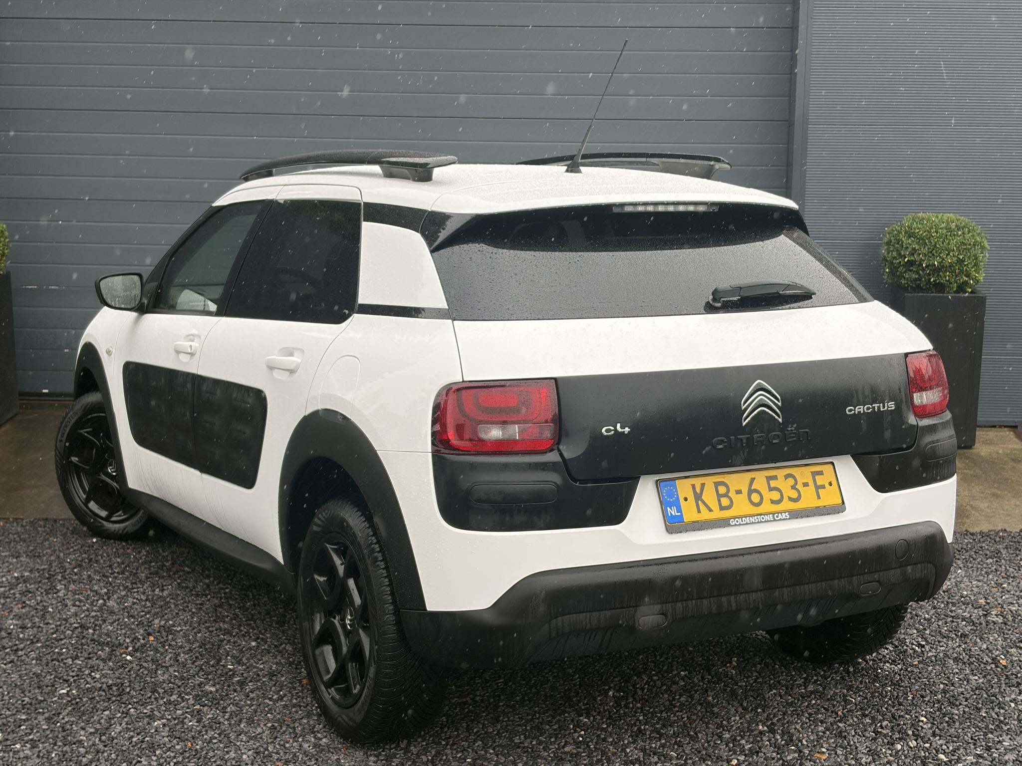 Foto van Citroen C4 Cactus