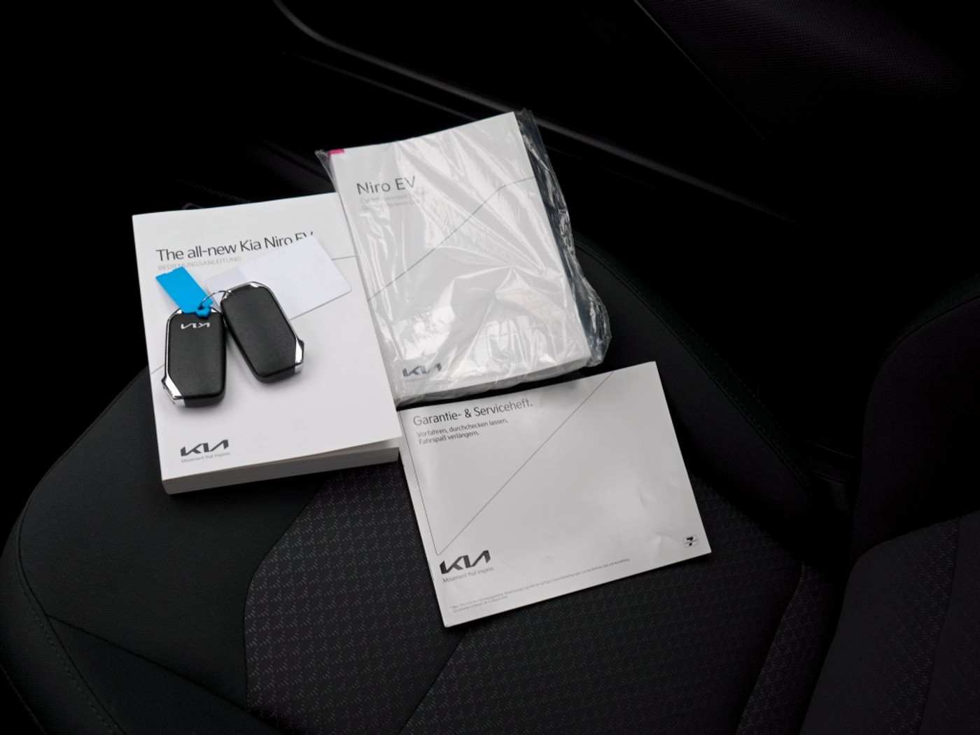 Foto van Kia Niro Ev