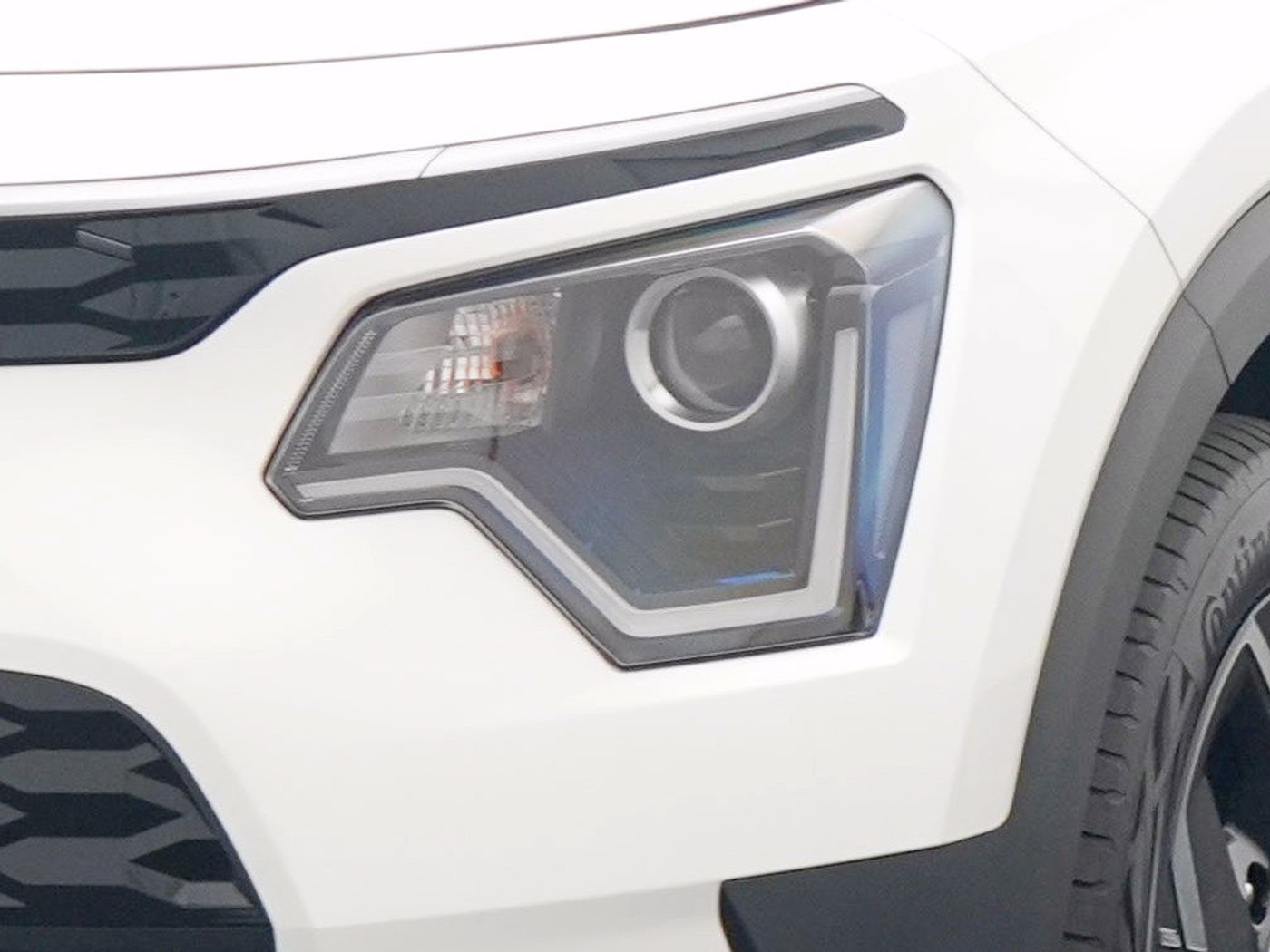 Foto van Kia Niro Ev