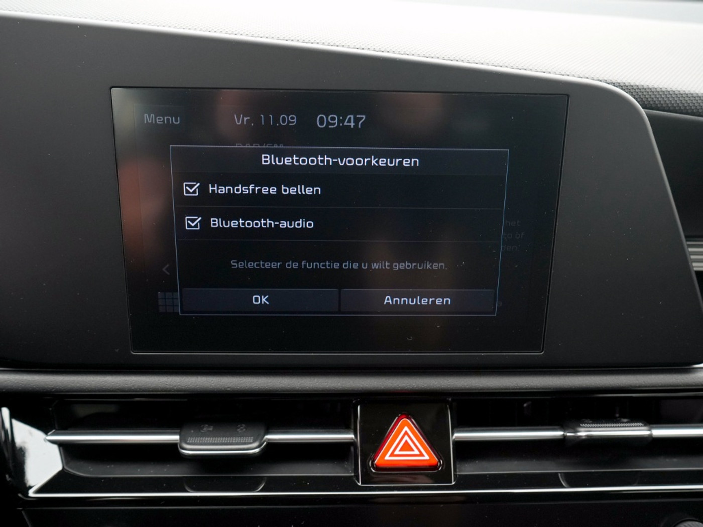 Foto van Kia Niro Ev