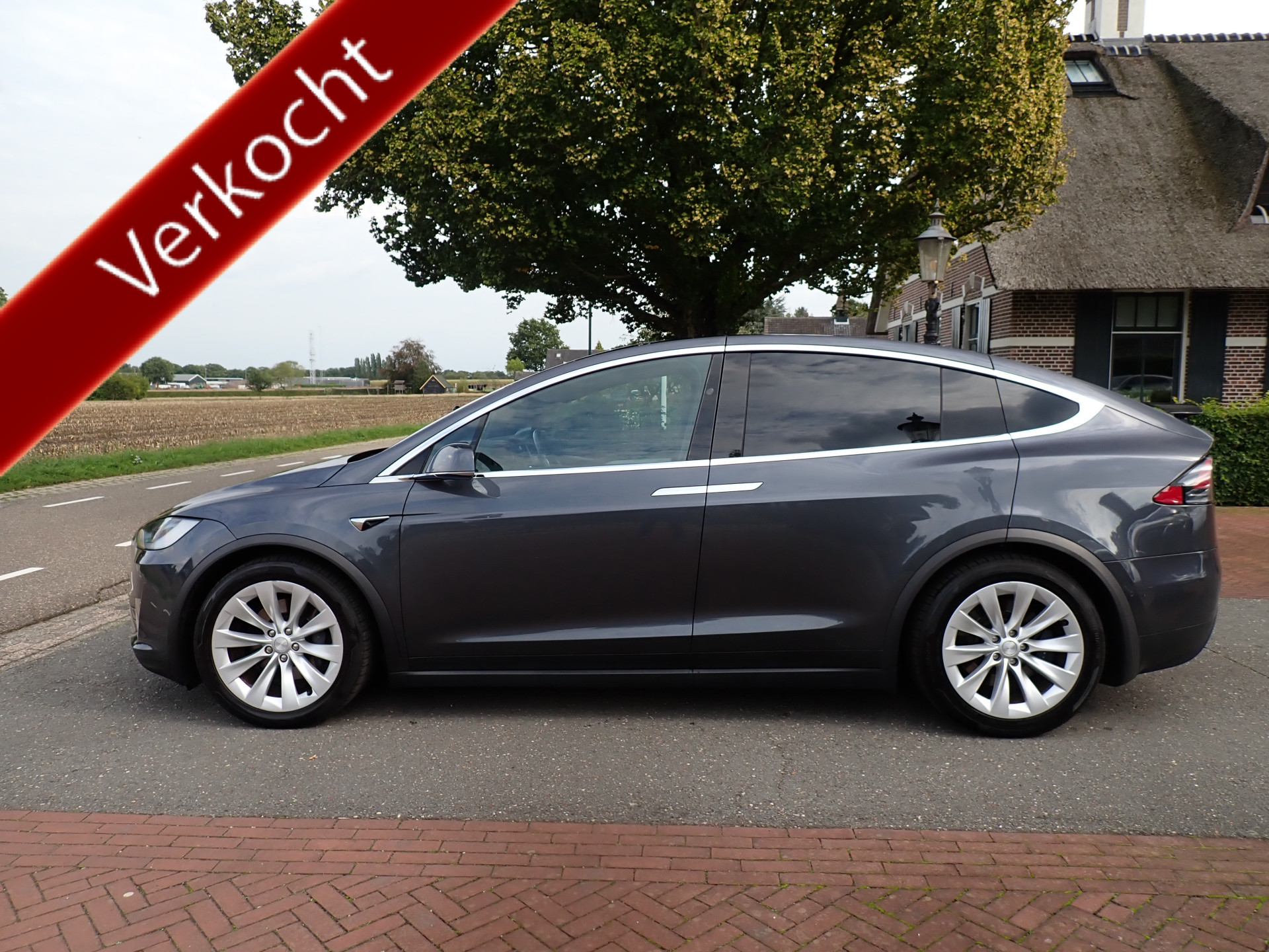 Foto van Tesla Model X