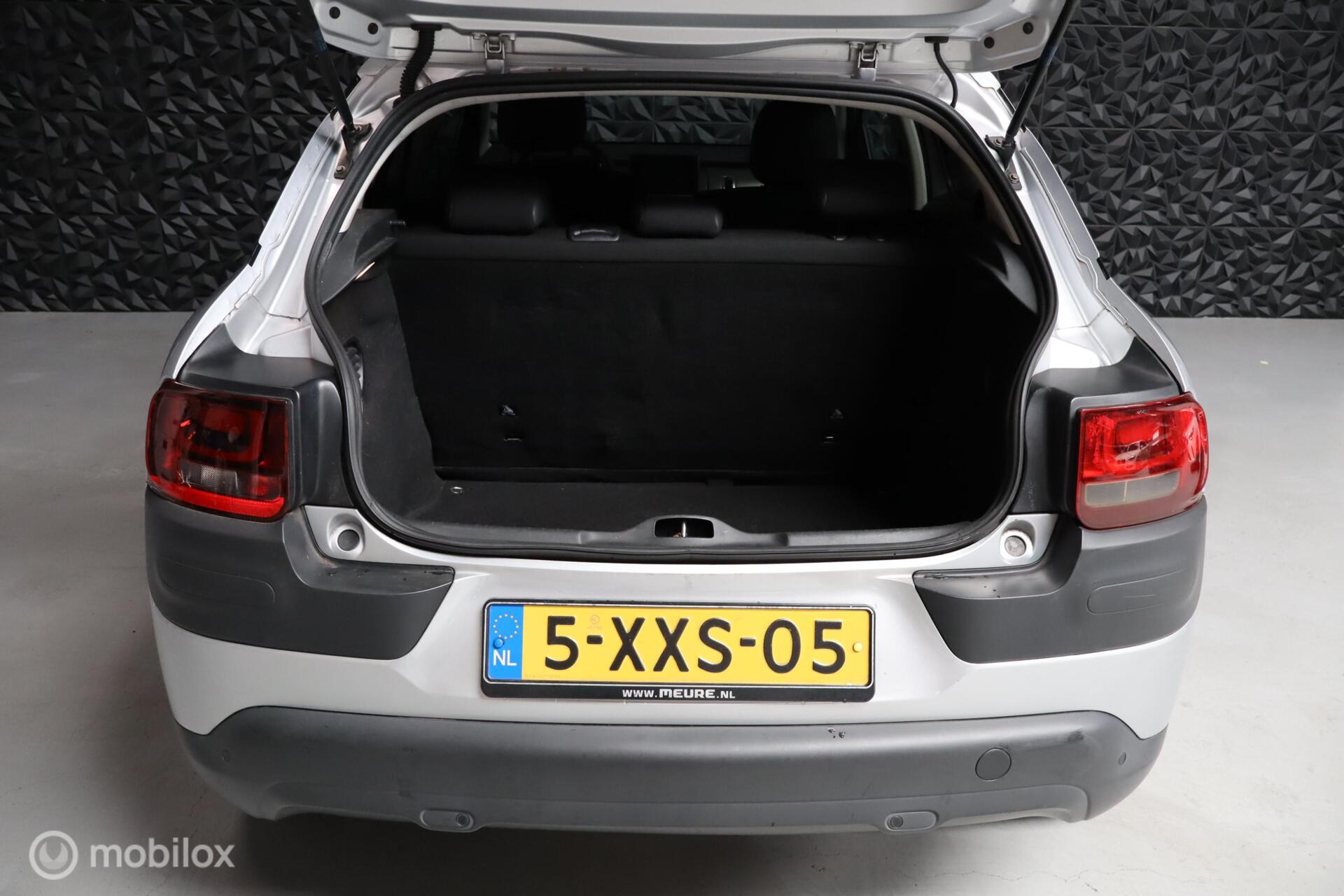 Foto van Citroen C4 Cactus