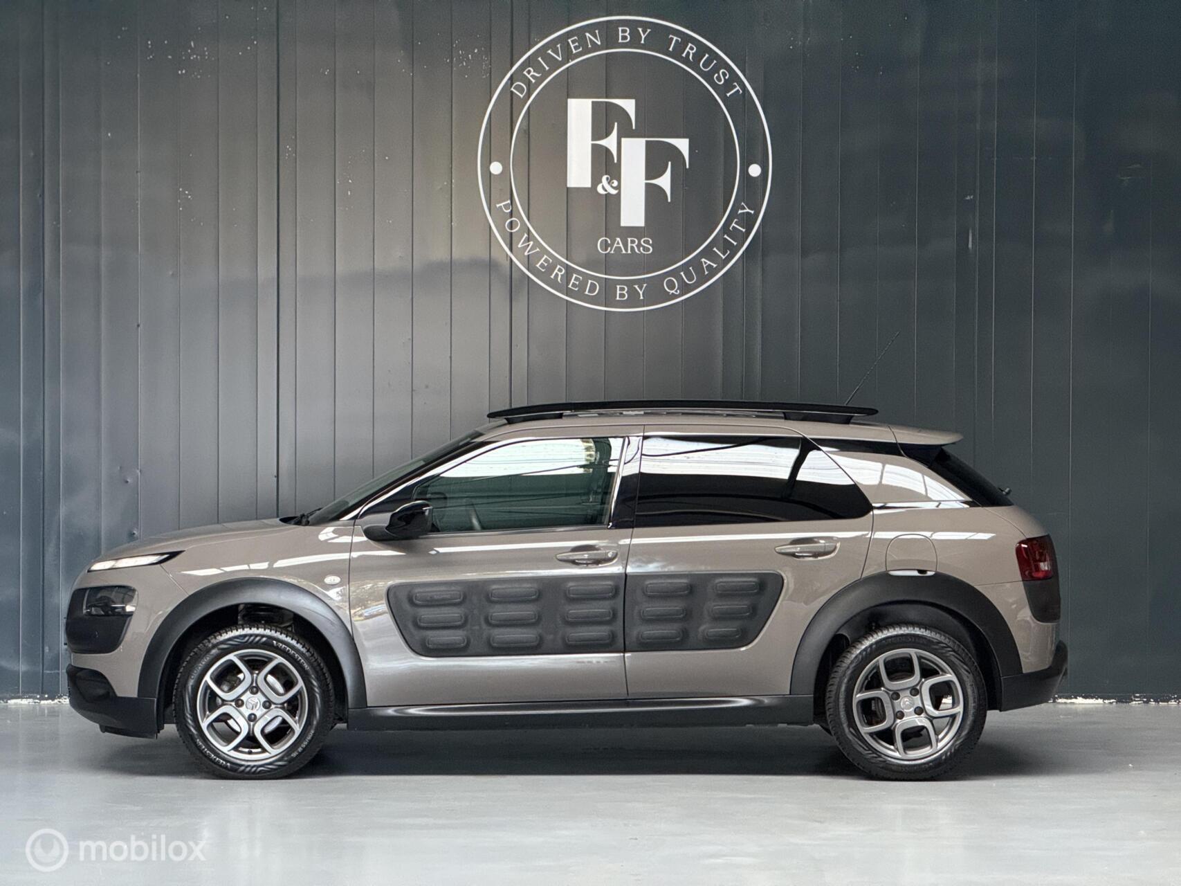 Foto van Citroen C4 Cactus
