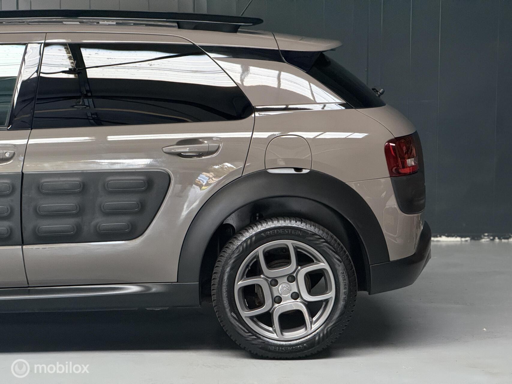 Foto van Citroen C4 Cactus