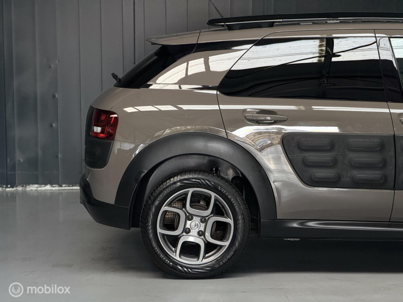 Foto van Citroen C4 Cactus