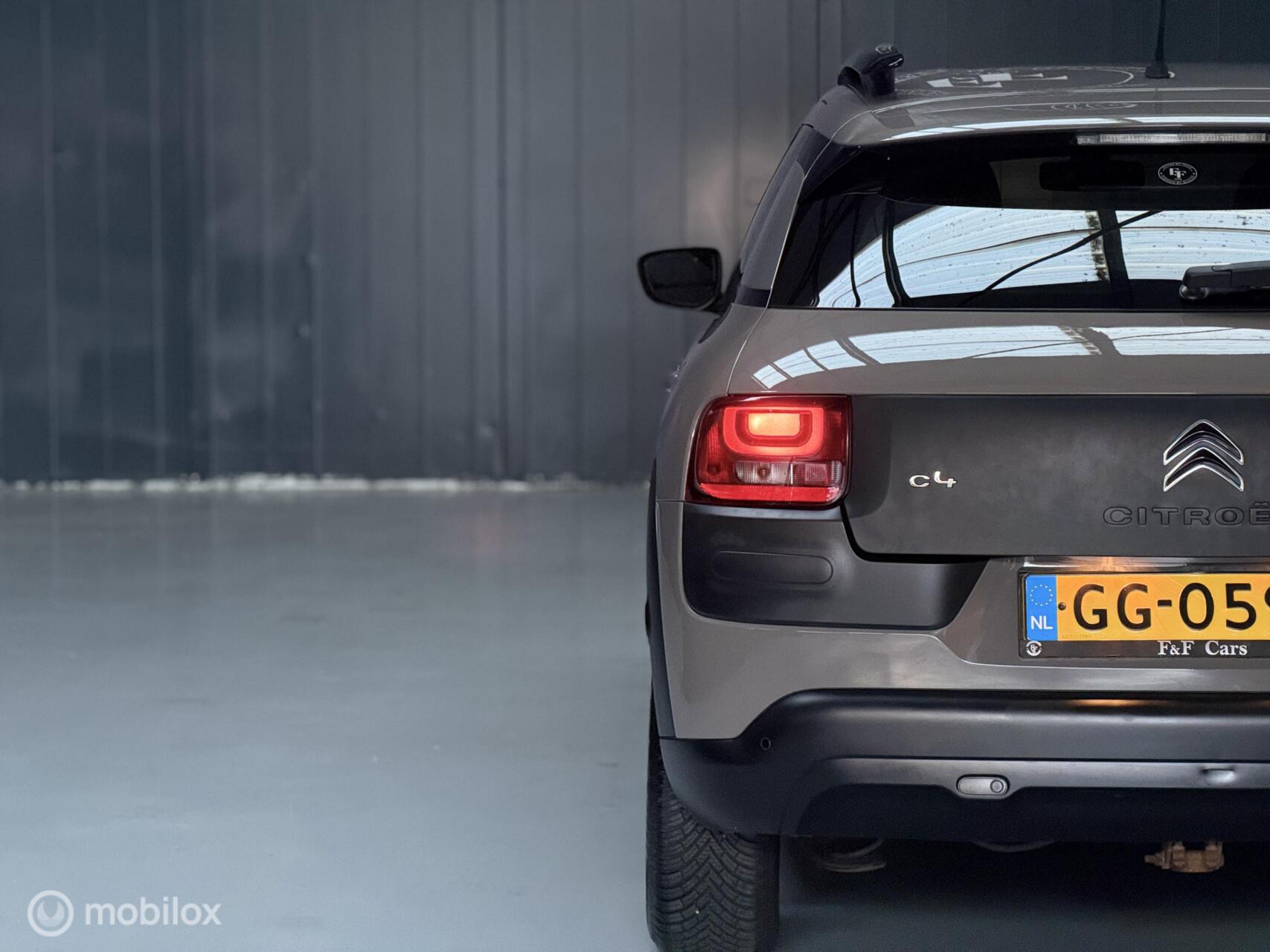 Foto van Citroen C4 Cactus