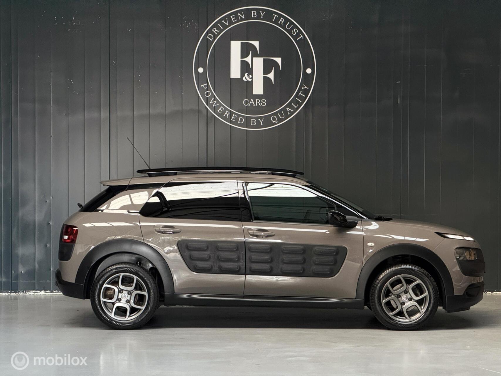 Foto van Citroen C4 Cactus