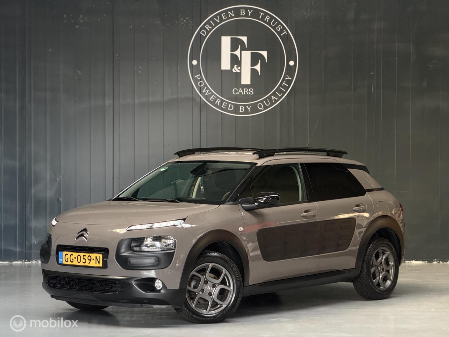 Foto van Citroen C4 Cactus