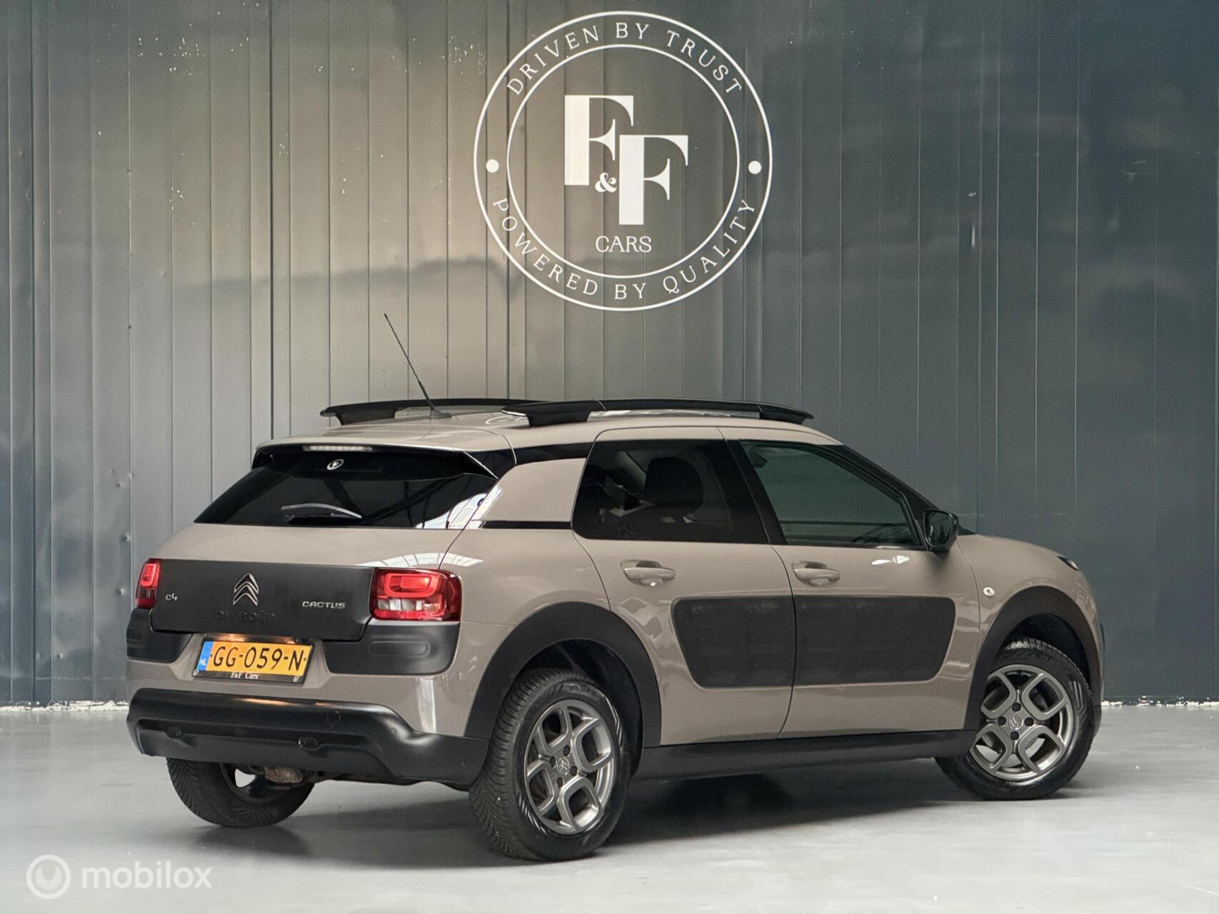 Foto van Citroen C4 Cactus