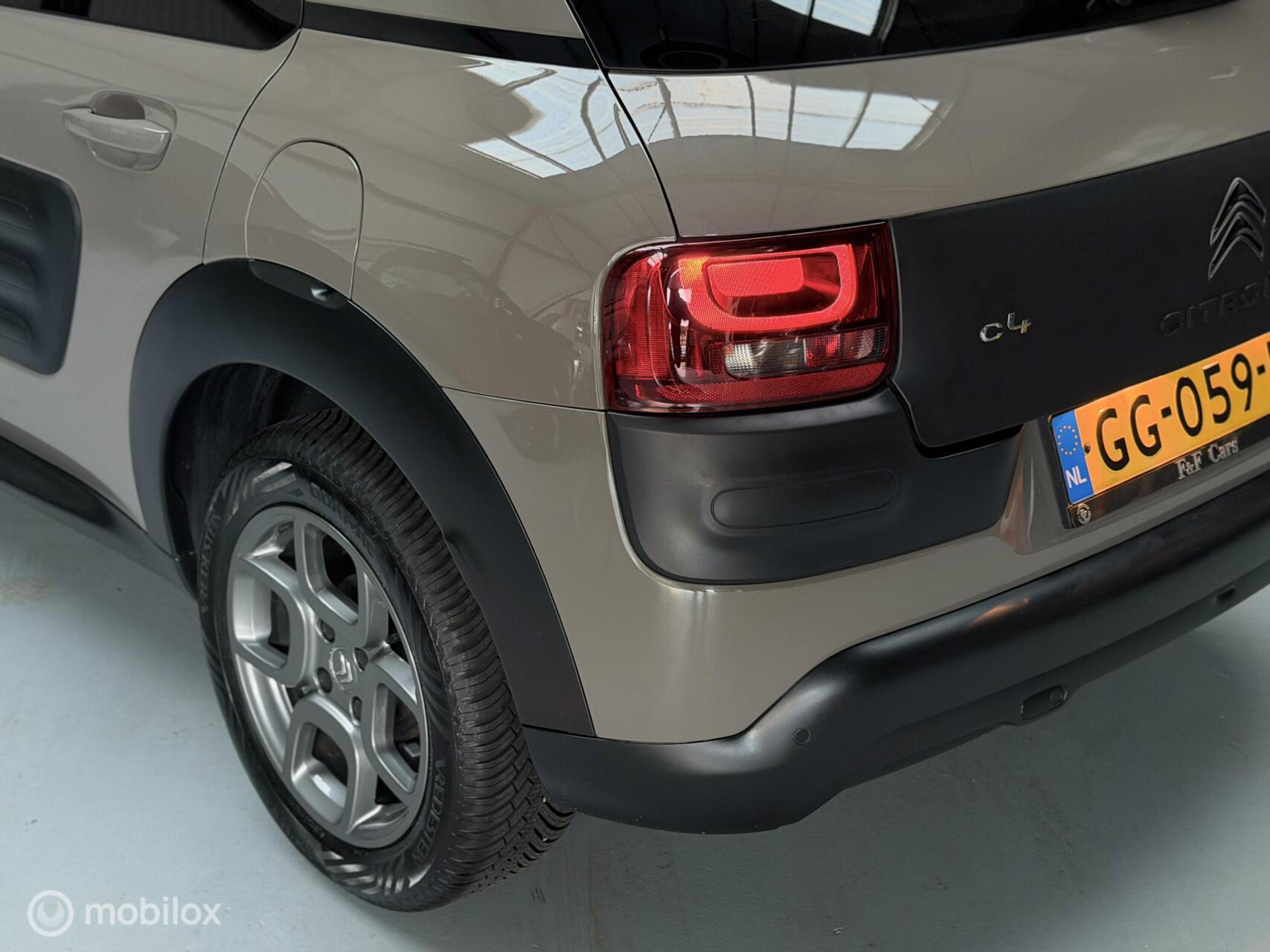 Foto van Citroen C4 Cactus
