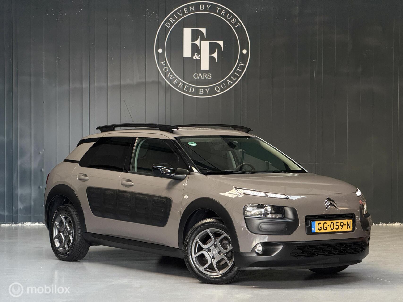 Foto van Citroen C4 Cactus